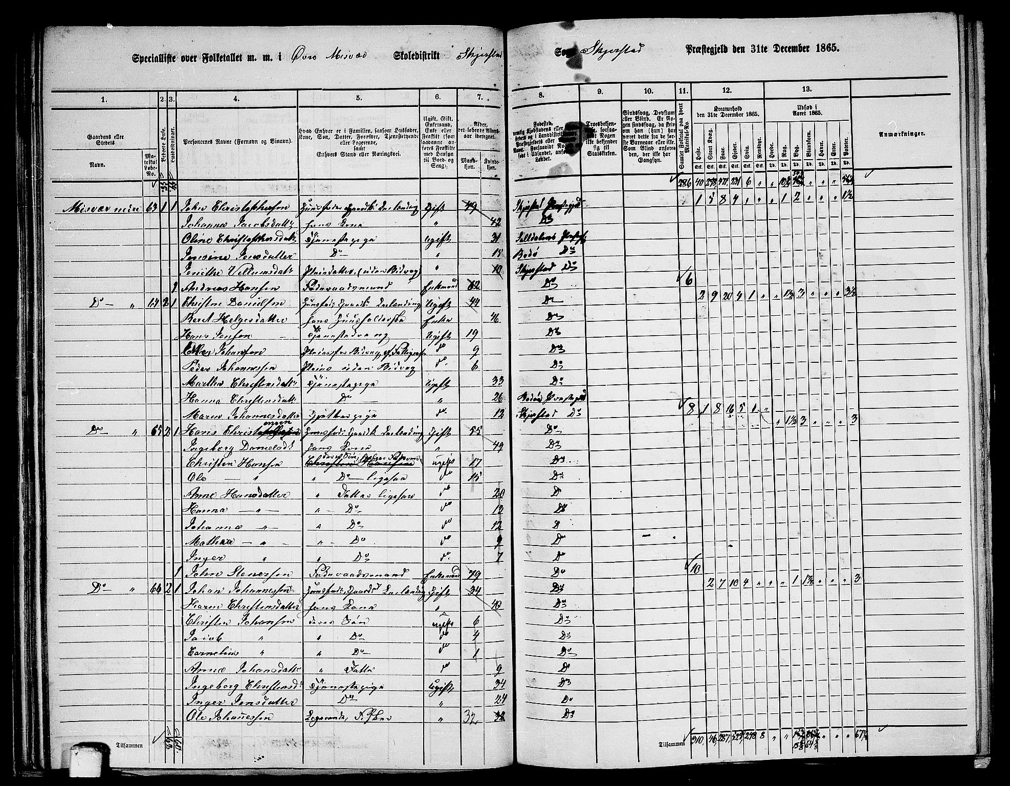 RA, 1865 census for Skjerstad, 1865, p. 64