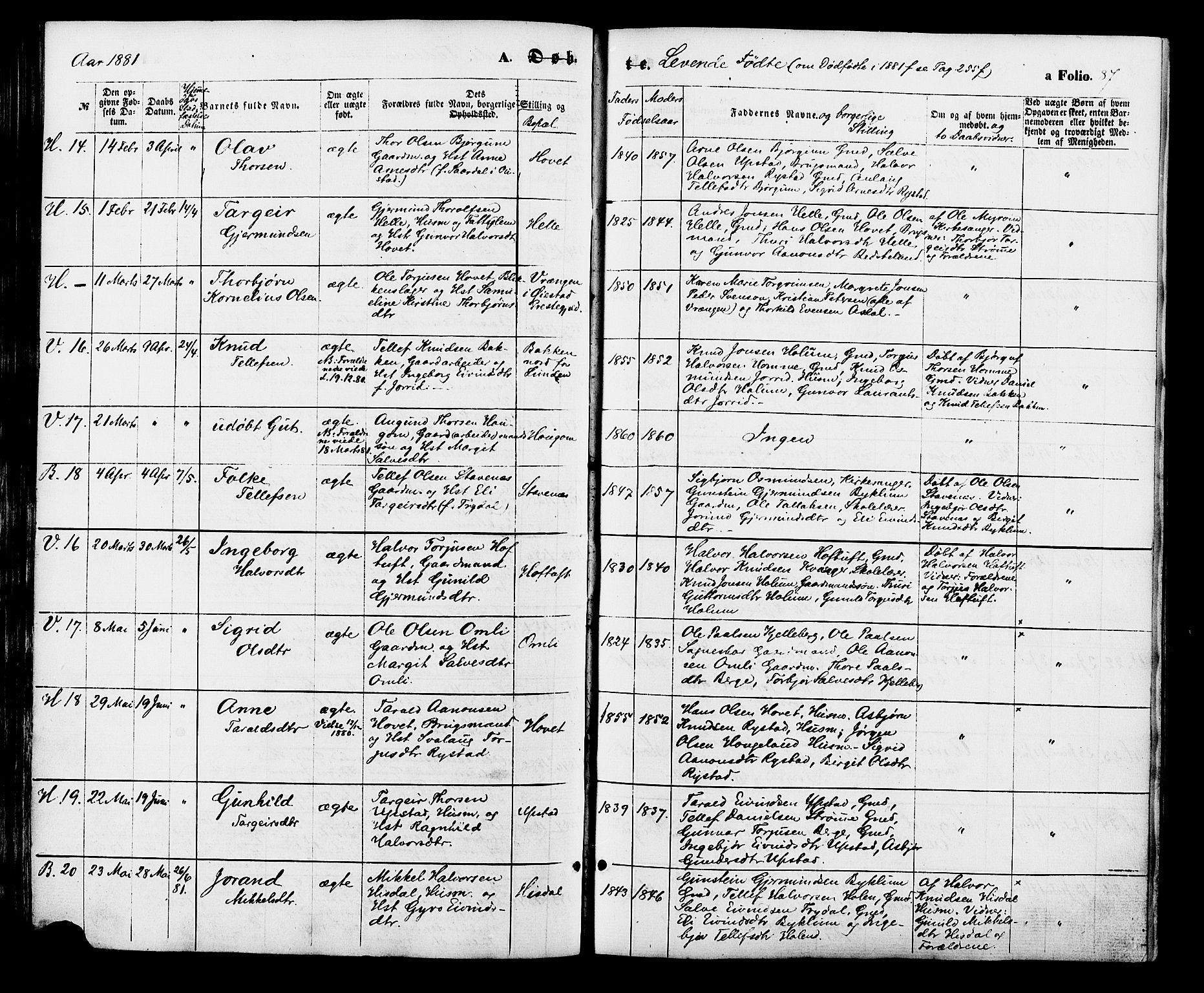 Valle sokneprestkontor, AV/SAK-1111-0044/F/Fa/Fac/L0008: Parish register (official) no. A 8, 1868-1882, p. 87