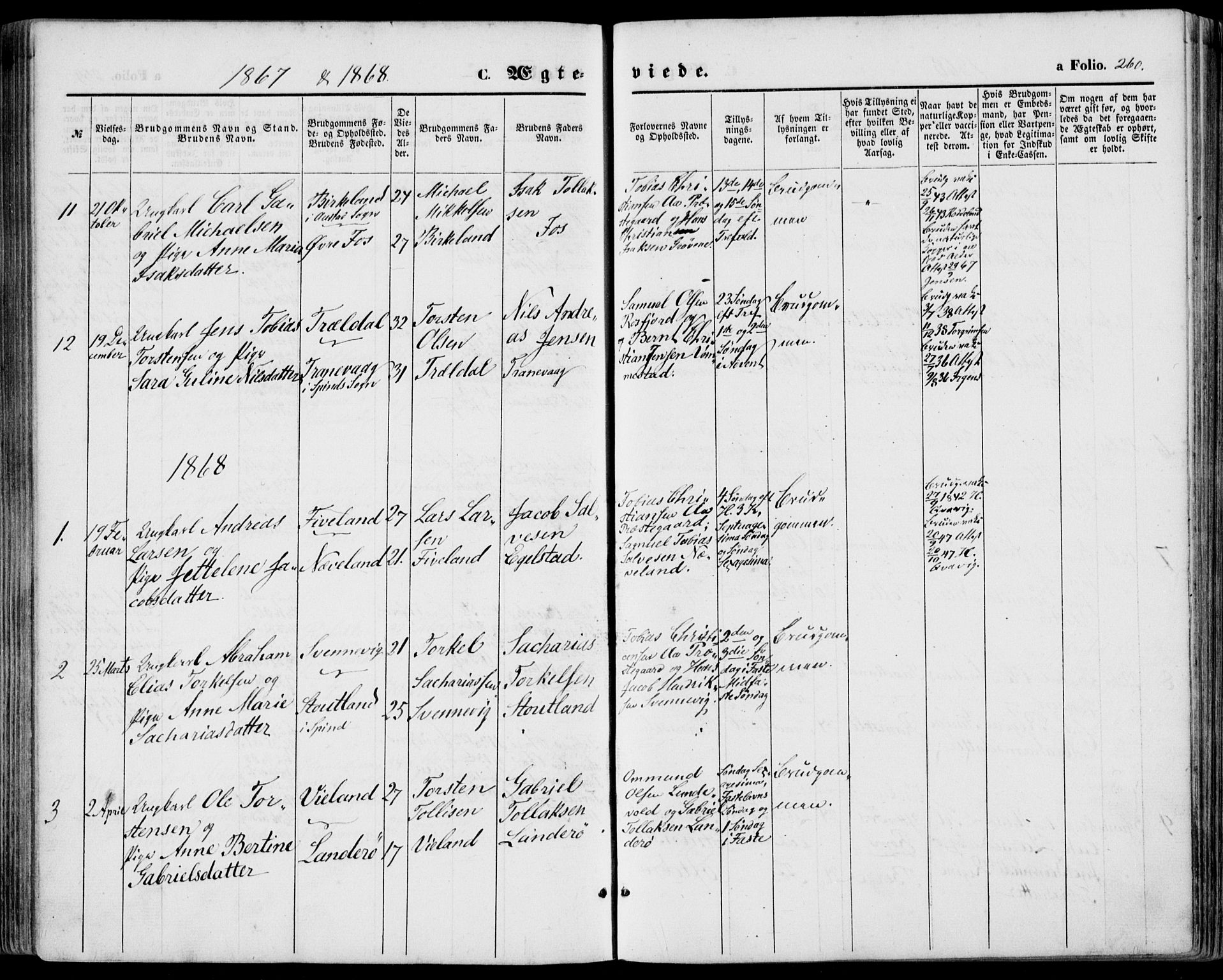 Lyngdal sokneprestkontor, SAK/1111-0029/F/Fa/Fac/L0010: Parish register (official) no. A 10, 1865-1878, p. 260