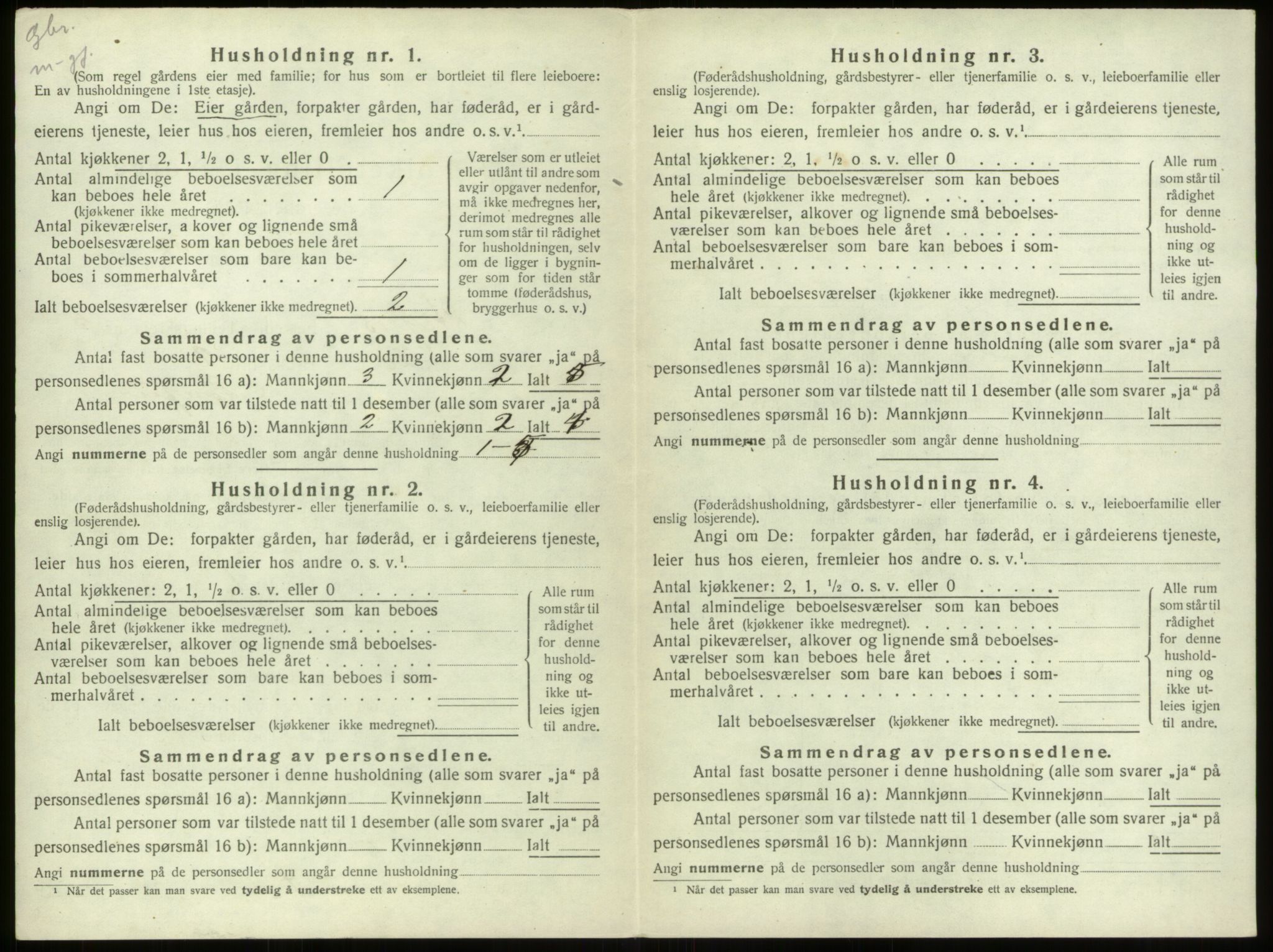 SAB, 1920 census for Stryn, 1920, p. 294