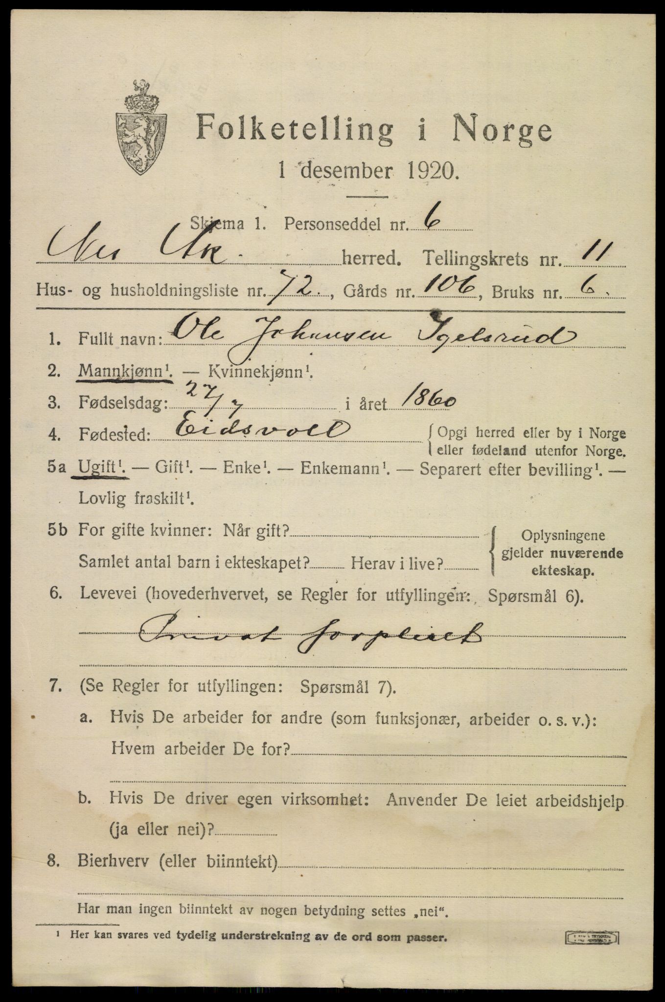 SAO, 1920 census for Nes, 1920, p. 12230