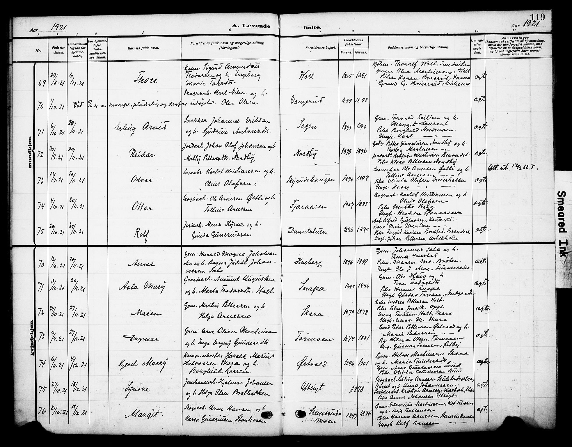 Grue prestekontor, AV/SAH-PREST-036/H/Ha/Haa/L0015: Parish register (official) no. 15, 1911-1922, p. 119