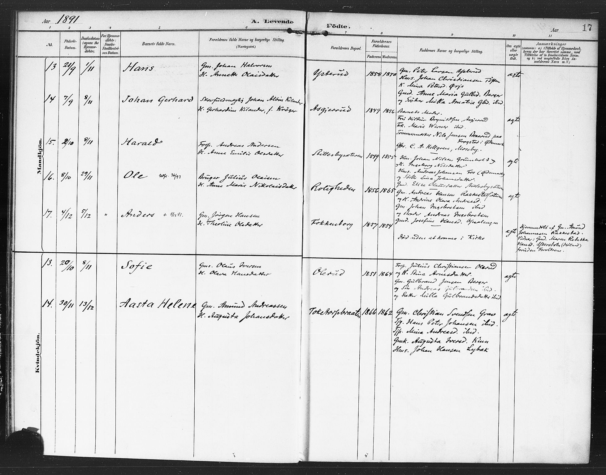 Rødenes prestekontor Kirkebøker, AV/SAO-A-2005/F/Fa/L0010: Parish register (official) no. I 10, 1890-1900, p. 17