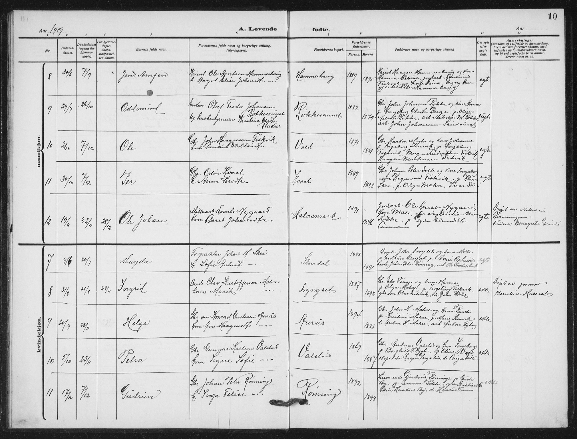 Ministerialprotokoller, klokkerbøker og fødselsregistre - Nord-Trøndelag, AV/SAT-A-1458/712/L0104: Parish register (copy) no. 712C02, 1917-1939, p. 10