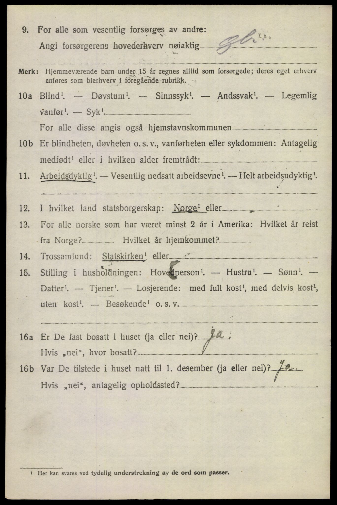 SAKO, 1920 census for Nes (Buskerud), 1920, p. 5009