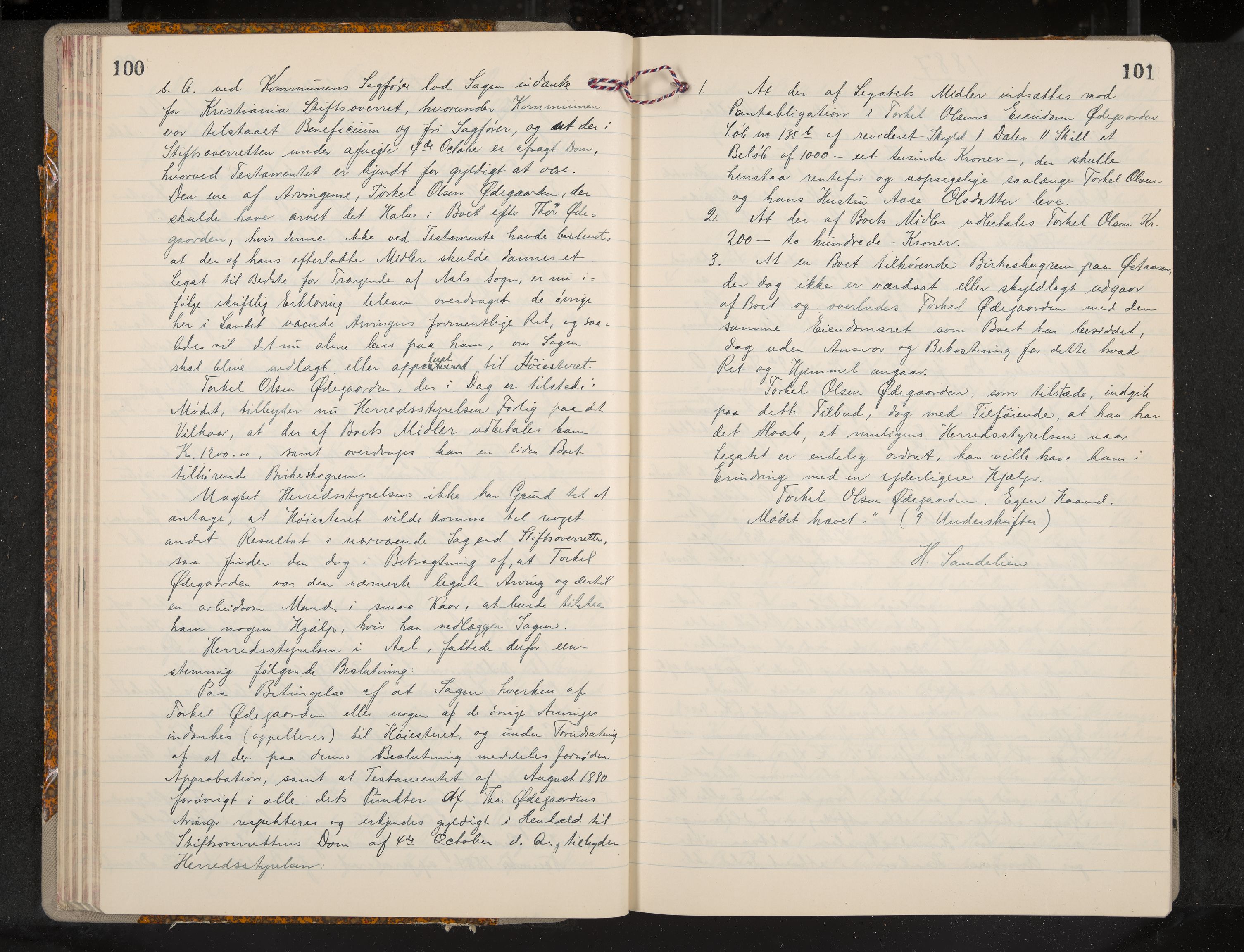 Ål formannskap og sentraladministrasjon, IKAK/0619021/A/Aa/L0004: Utskrift av møtebok, 1881-1901, p. 100-101