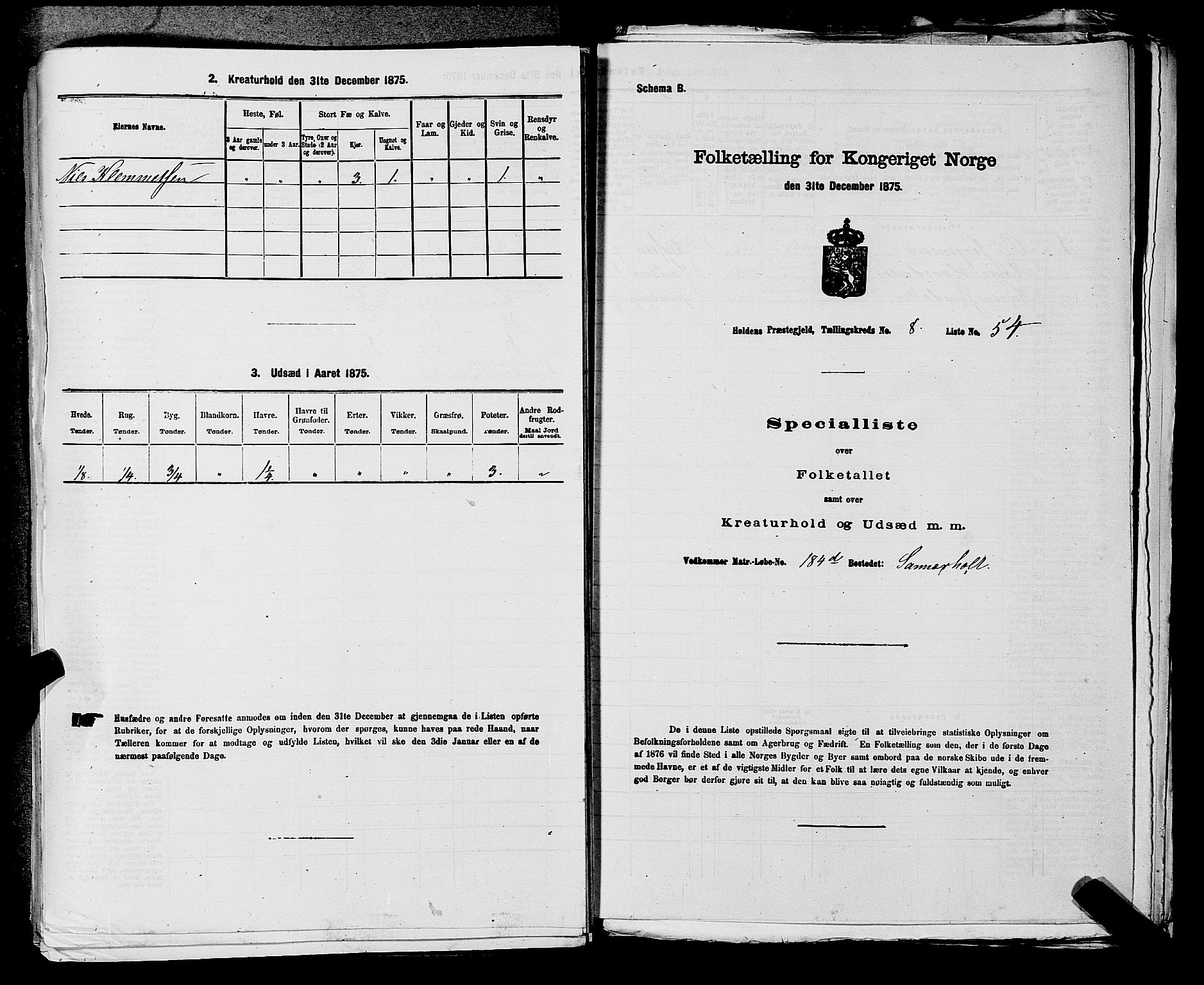 SAKO, 1875 census for 0819P Holla, 1875, p. 1072