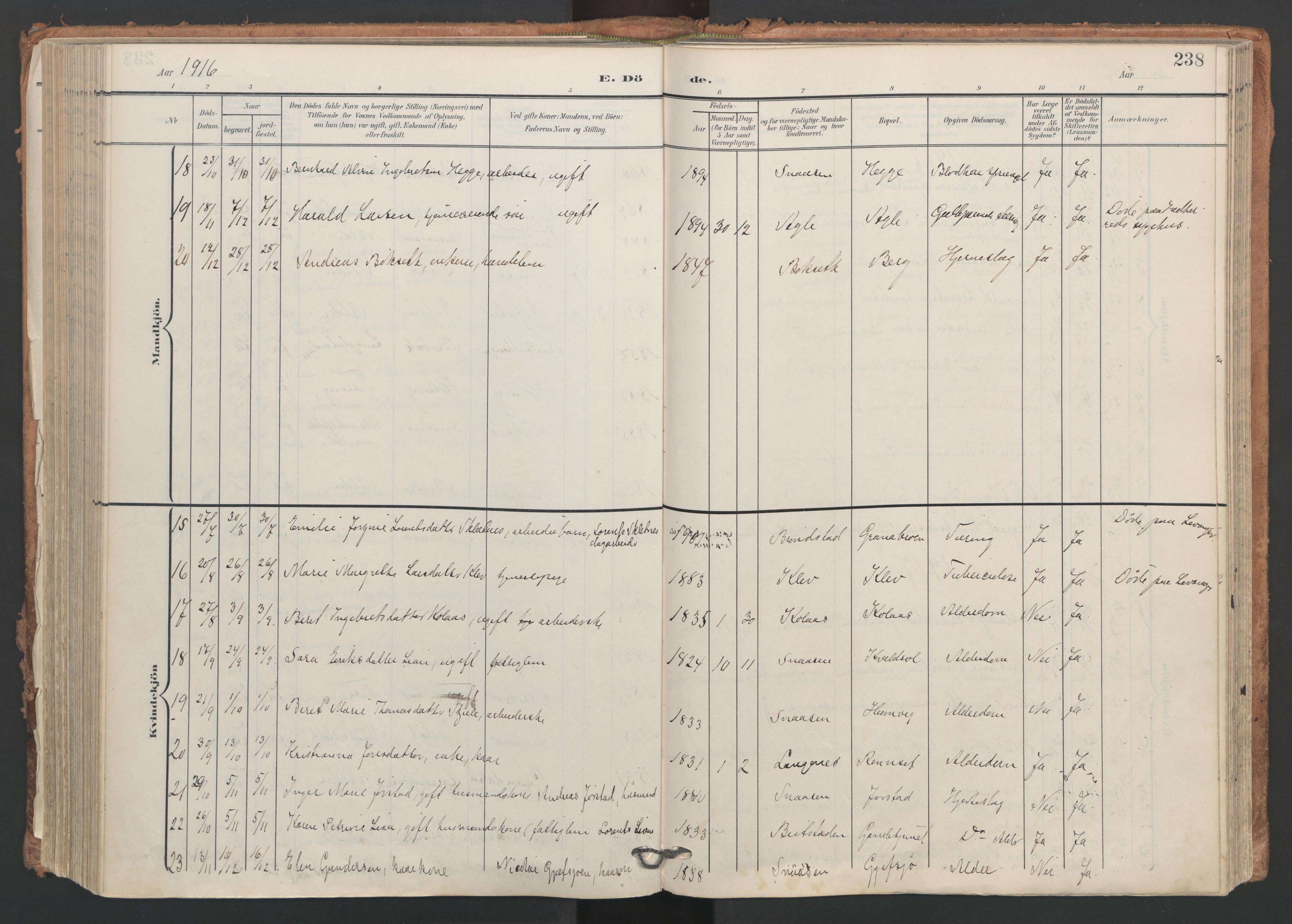 Ministerialprotokoller, klokkerbøker og fødselsregistre - Nord-Trøndelag, SAT/A-1458/749/L0477: Parish register (official) no. 749A11, 1902-1927, p. 238