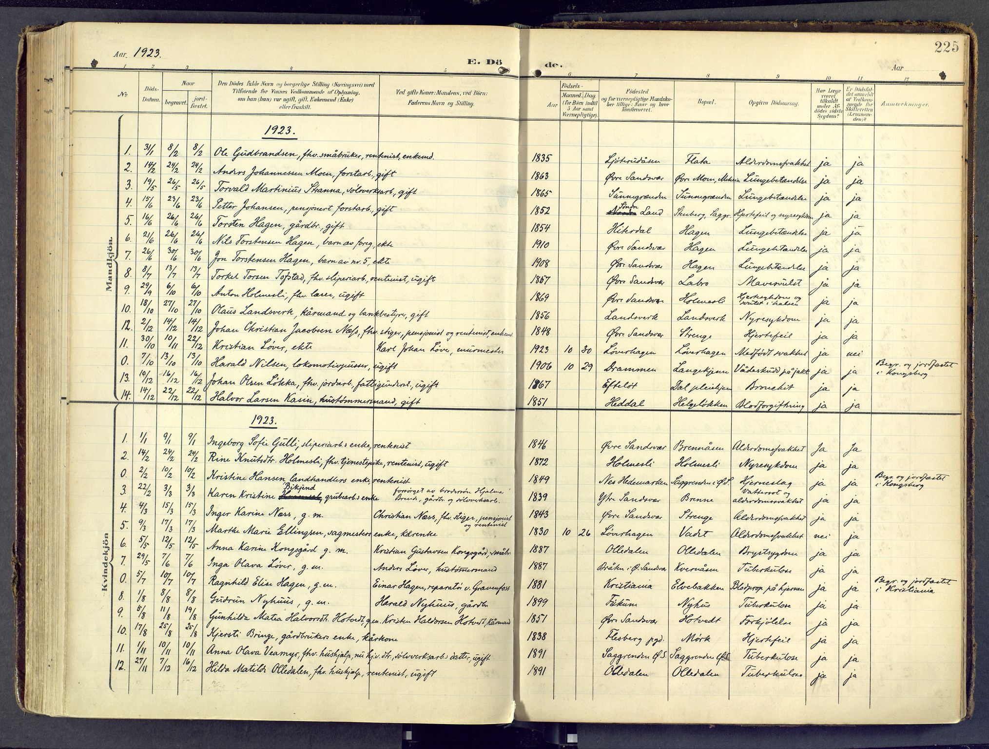 Sandsvær kirkebøker, SAKO/A-244/F/Fd/L0002: Parish register (official) no. IV 2, 1906-1943, p. 225