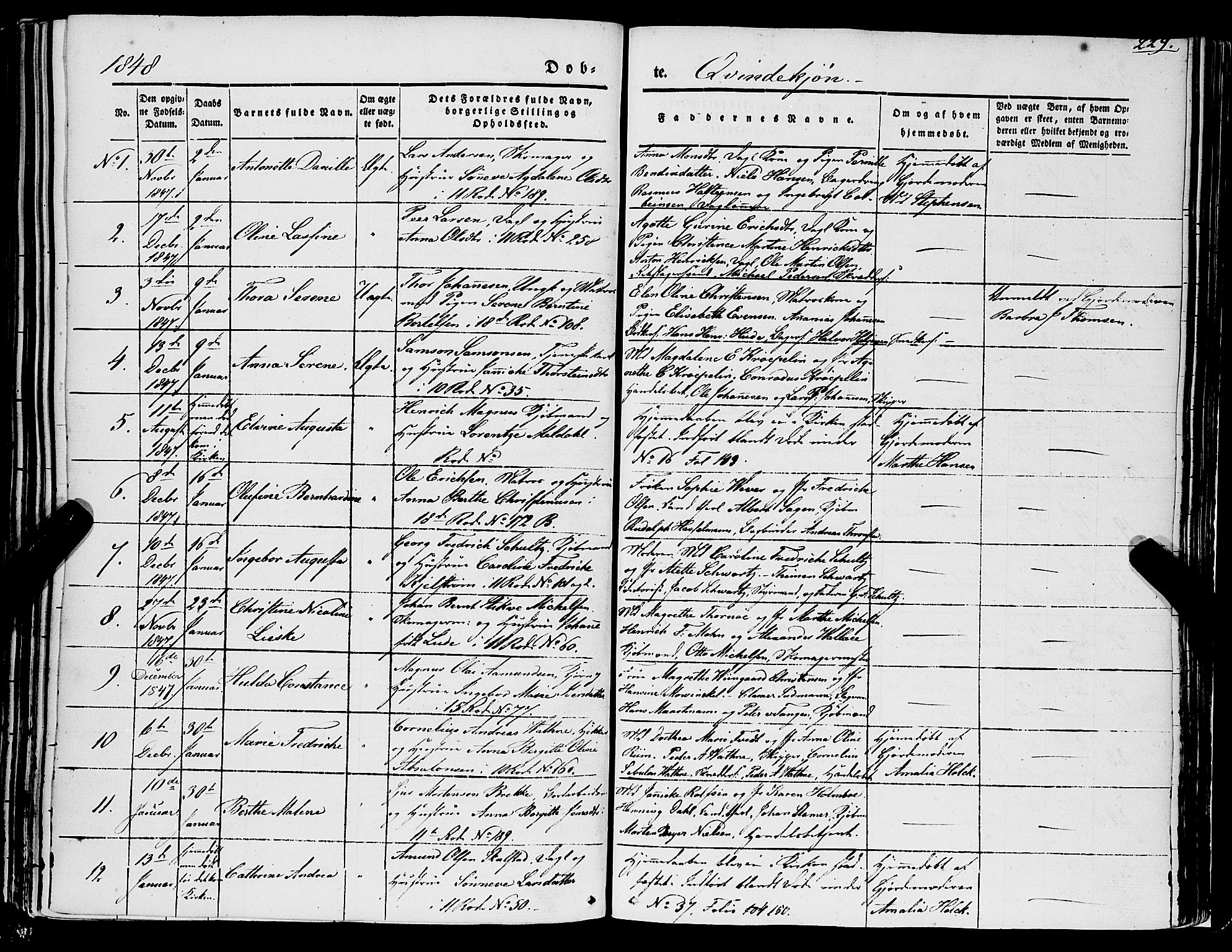 Domkirken sokneprestembete, SAB/A-74801/H/Haa/L0019: Parish register (official) no. B 2, 1841-1851, p. 229