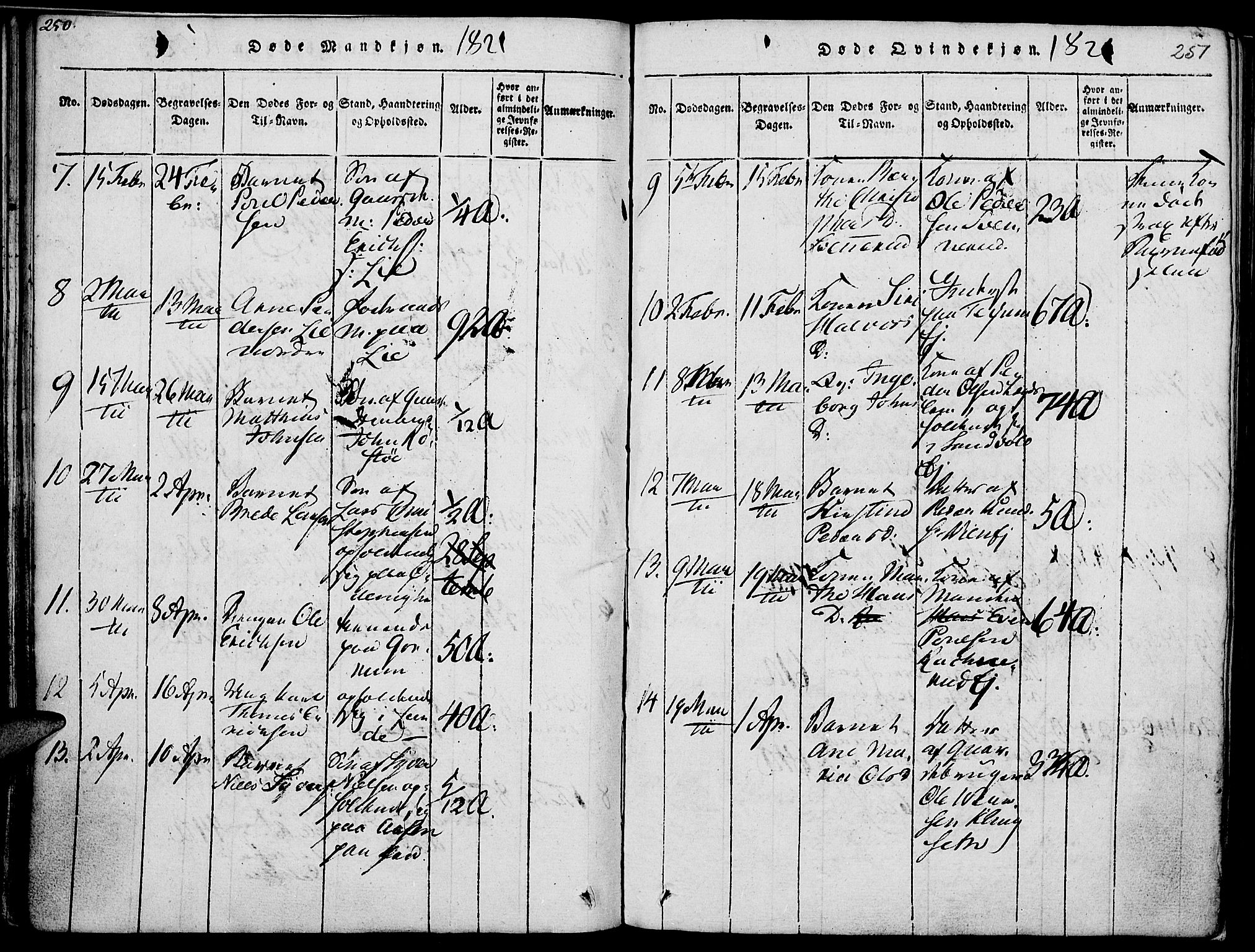 Nes prestekontor, Hedmark, AV/SAH-PREST-020/K/Ka/L0002: Parish register (official) no. 2, 1813-1827, p. 250-251