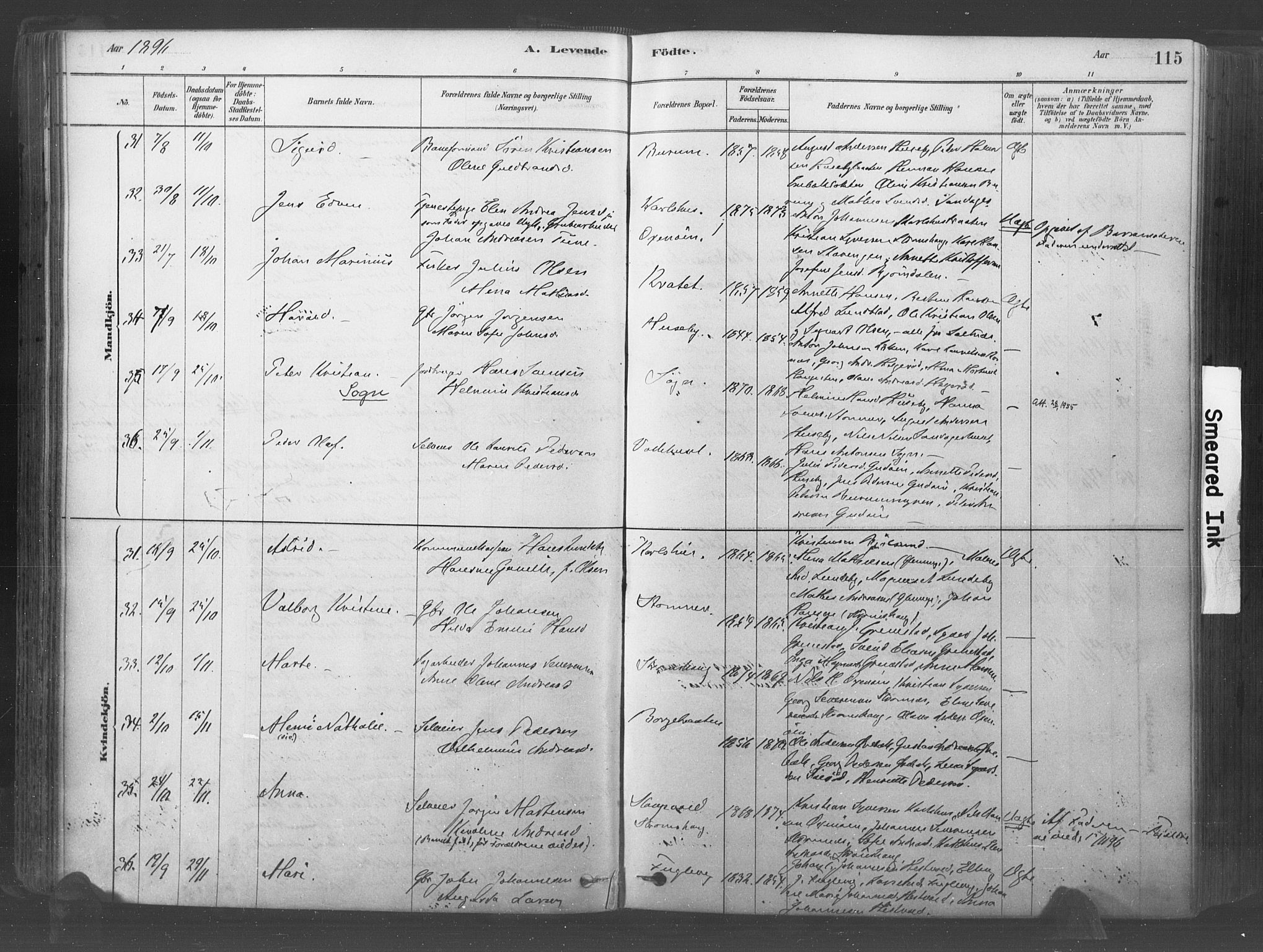 Råde prestekontor kirkebøker, AV/SAO-A-2009/F/Fa/L0007: Parish register (official) no. 7, 1878-1902, p. 115