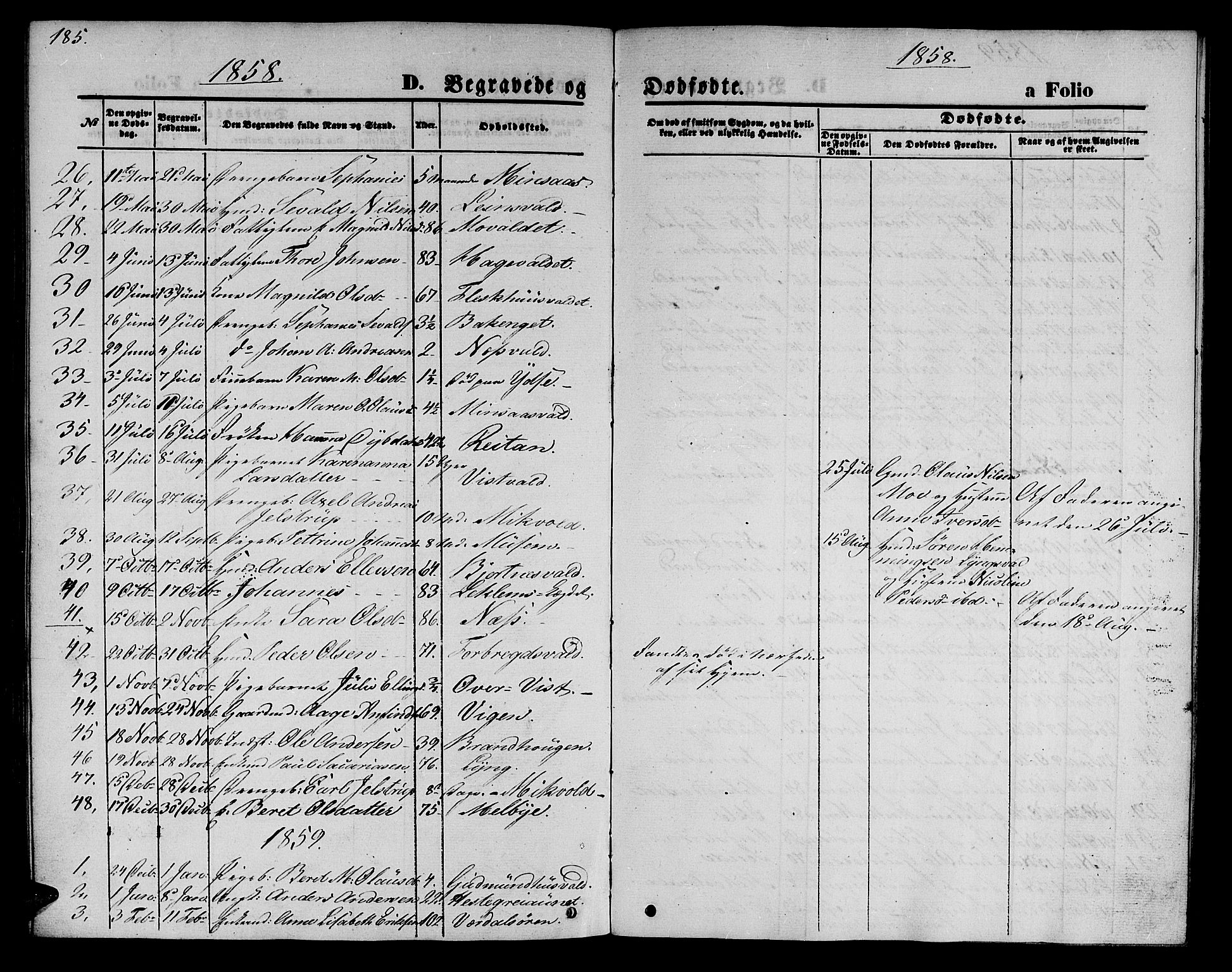 Ministerialprotokoller, klokkerbøker og fødselsregistre - Nord-Trøndelag, SAT/A-1458/723/L0254: Parish register (copy) no. 723C02, 1858-1868, p. 185