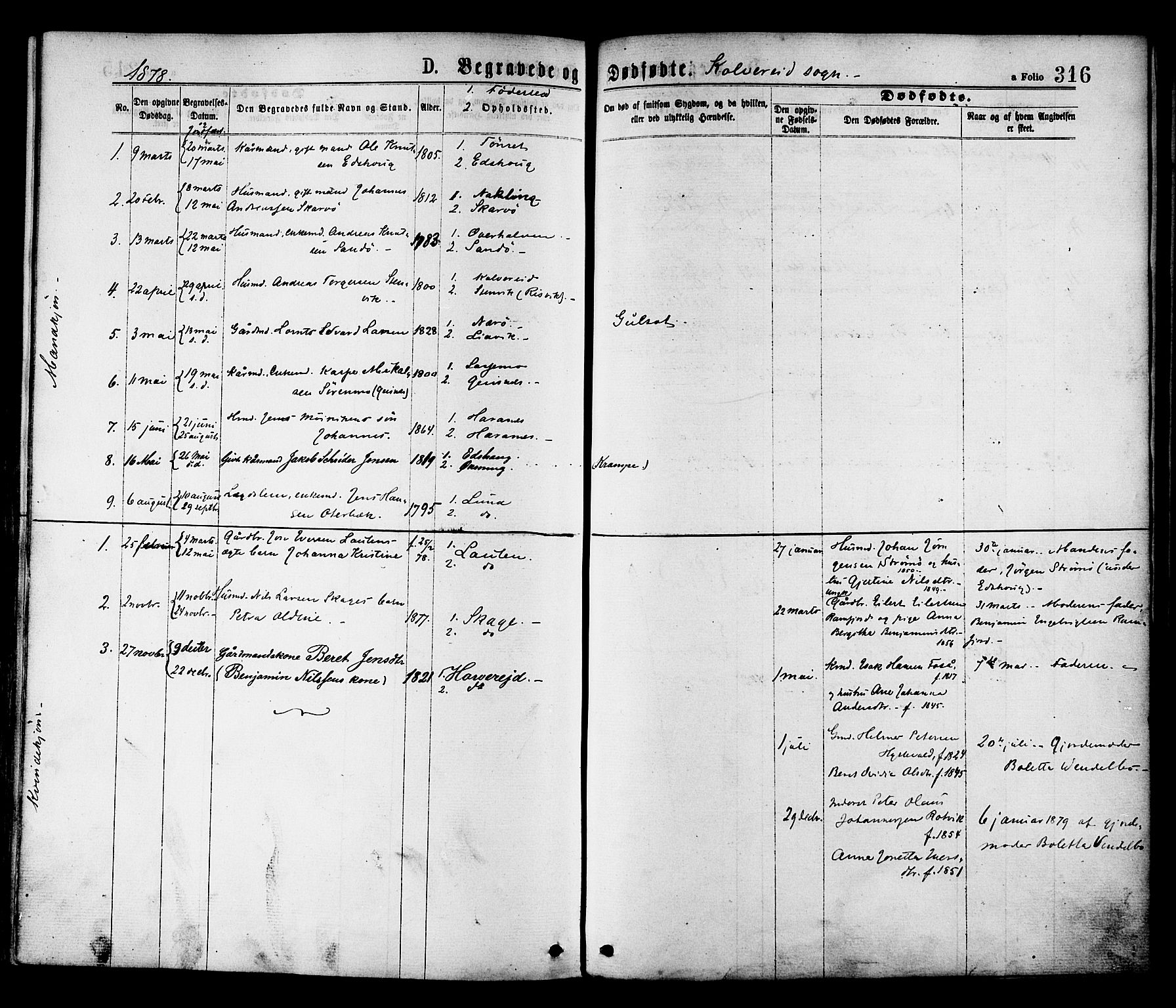 Ministerialprotokoller, klokkerbøker og fødselsregistre - Nord-Trøndelag, SAT/A-1458/780/L0642: Parish register (official) no. 780A07 /1, 1874-1885, p. 316