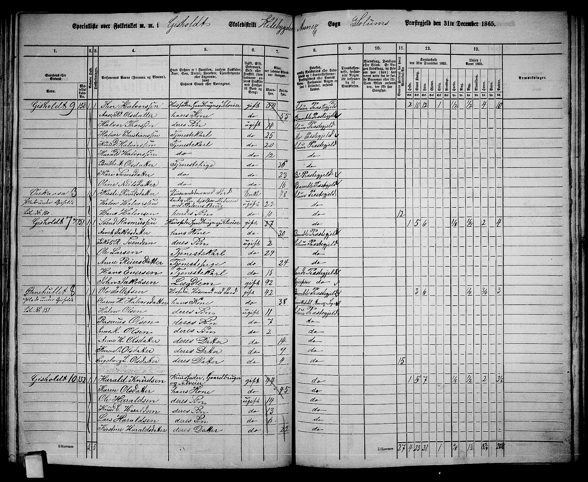 RA, 1865 census for Solum, 1865, p. 153