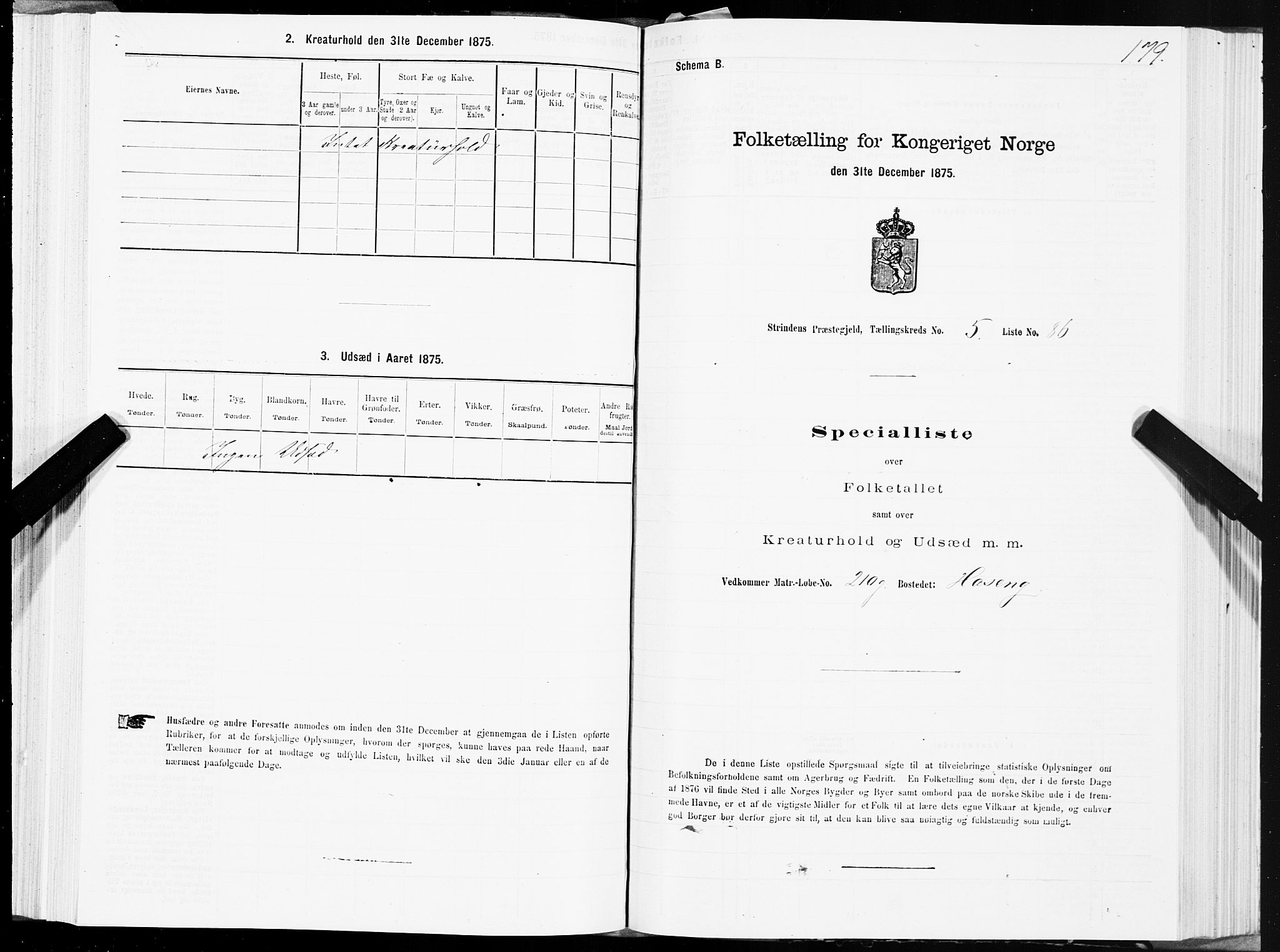 SAT, 1875 census for 1660P Strinda, 1875, p. 3179