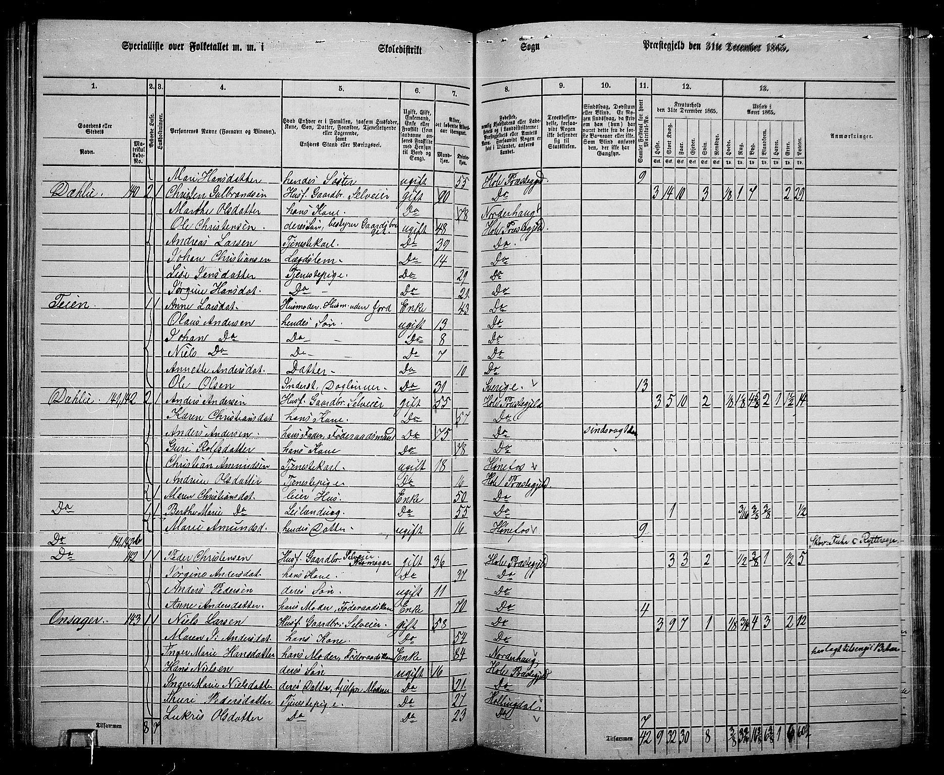 RA, 1865 census for Hole, 1865, p. 104