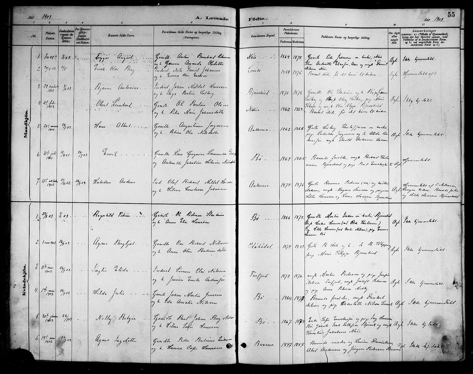 Ministerialprotokoller, klokkerbøker og fødselsregistre - Nordland, SAT/A-1459/898/L1427: Parish register (copy) no. 898C02, 1887-1917, p. 55