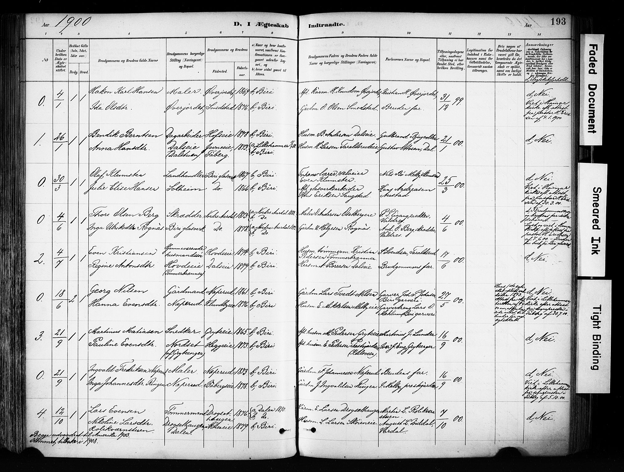 Biri prestekontor, SAH/PREST-096/H/Ha/Haa/L0009: Parish register (official) no. 9, 1887-1900, p. 193