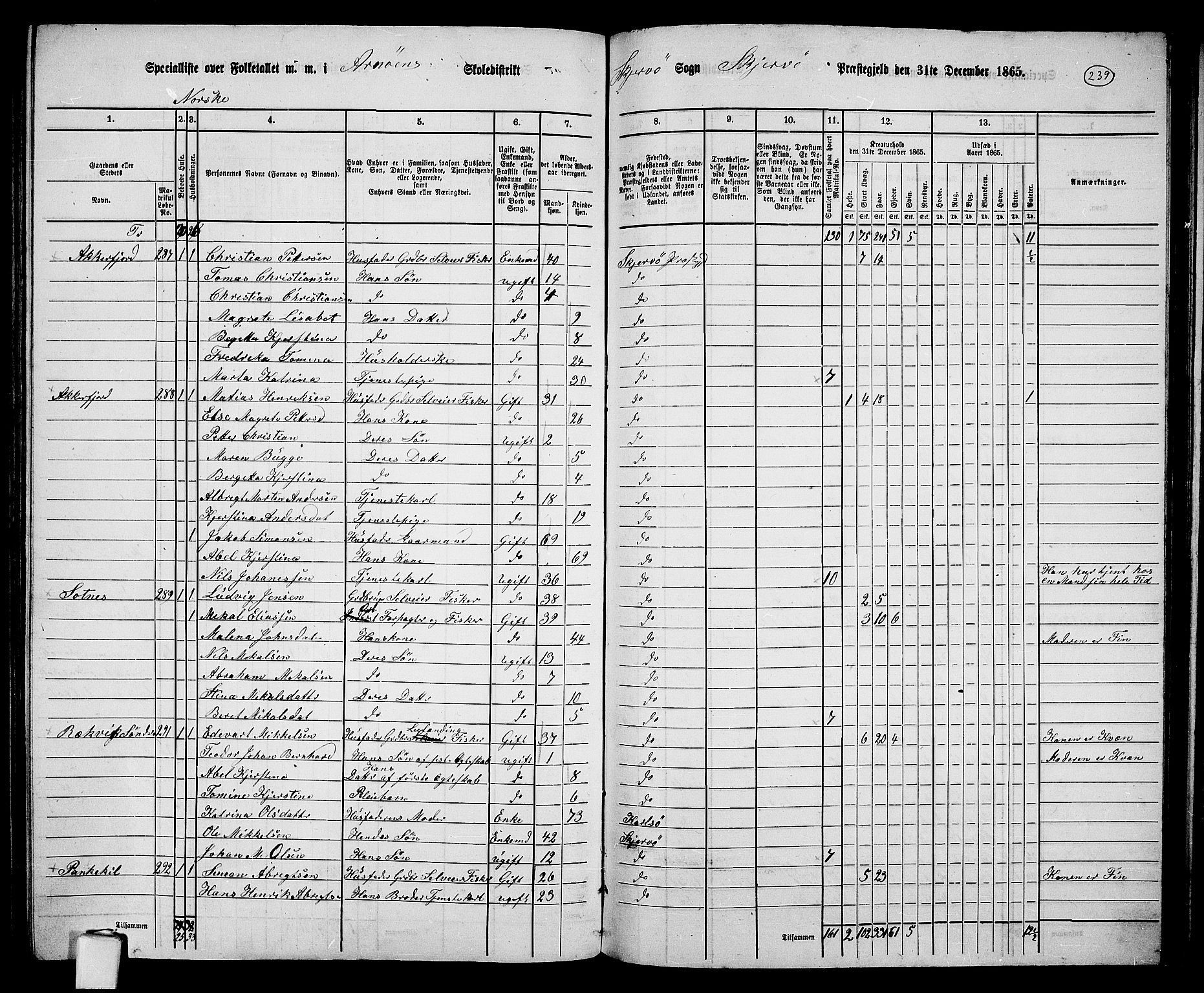 RA, 1865 census for Skjervøy, 1865, p. 119