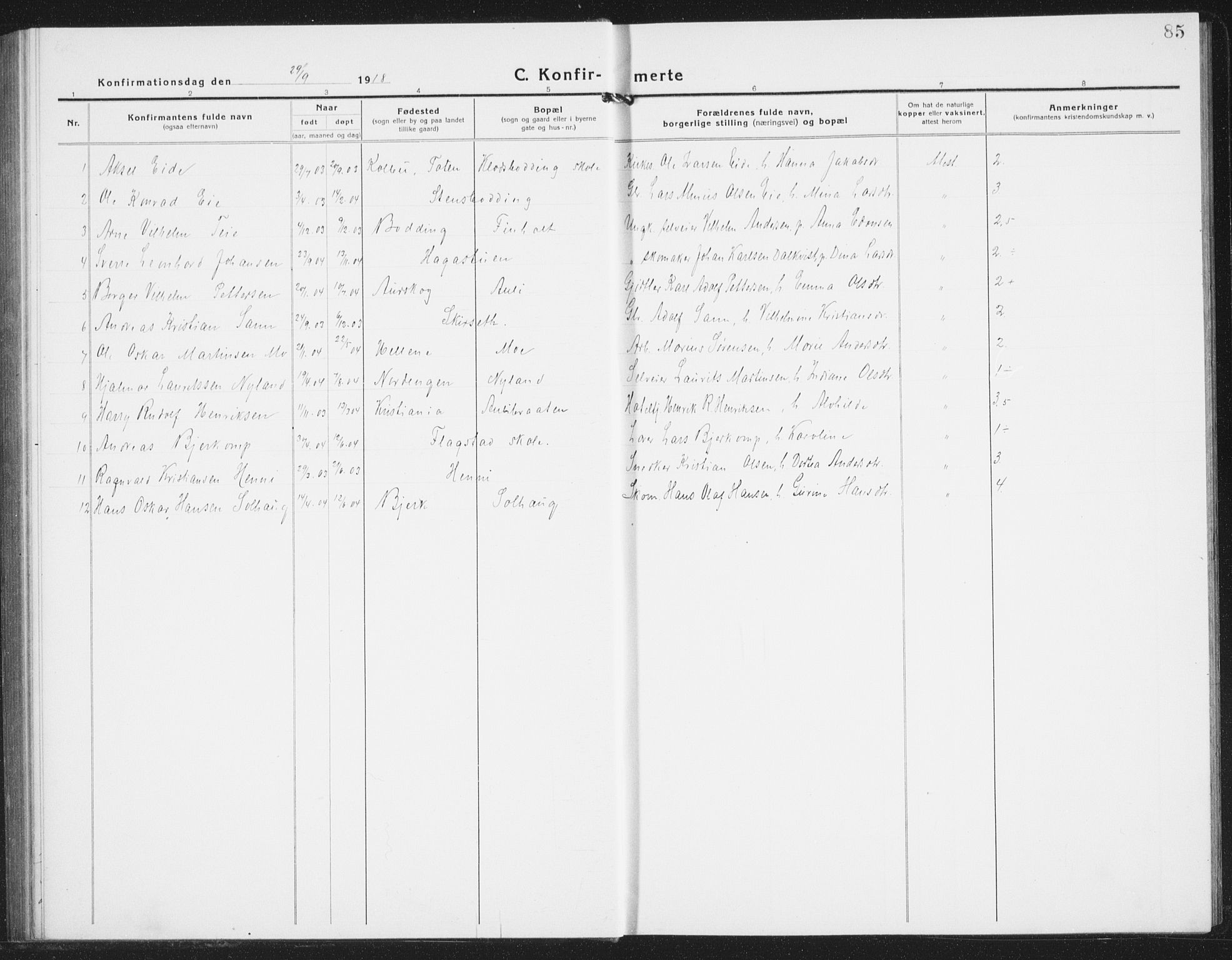 Nes prestekontor Kirkebøker, AV/SAO-A-10410/G/Gb/L0002: Parish register (copy) no. II 2, 1918-1942, p. 85