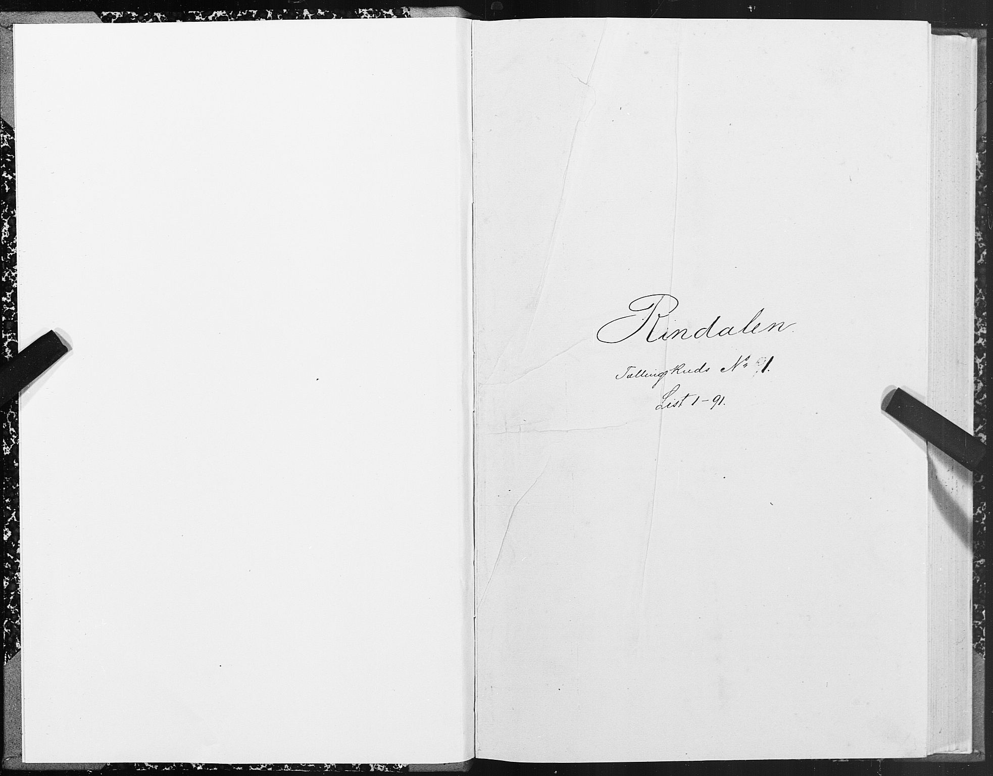 SAT, 1875 census for 1567P Rindal, 1875