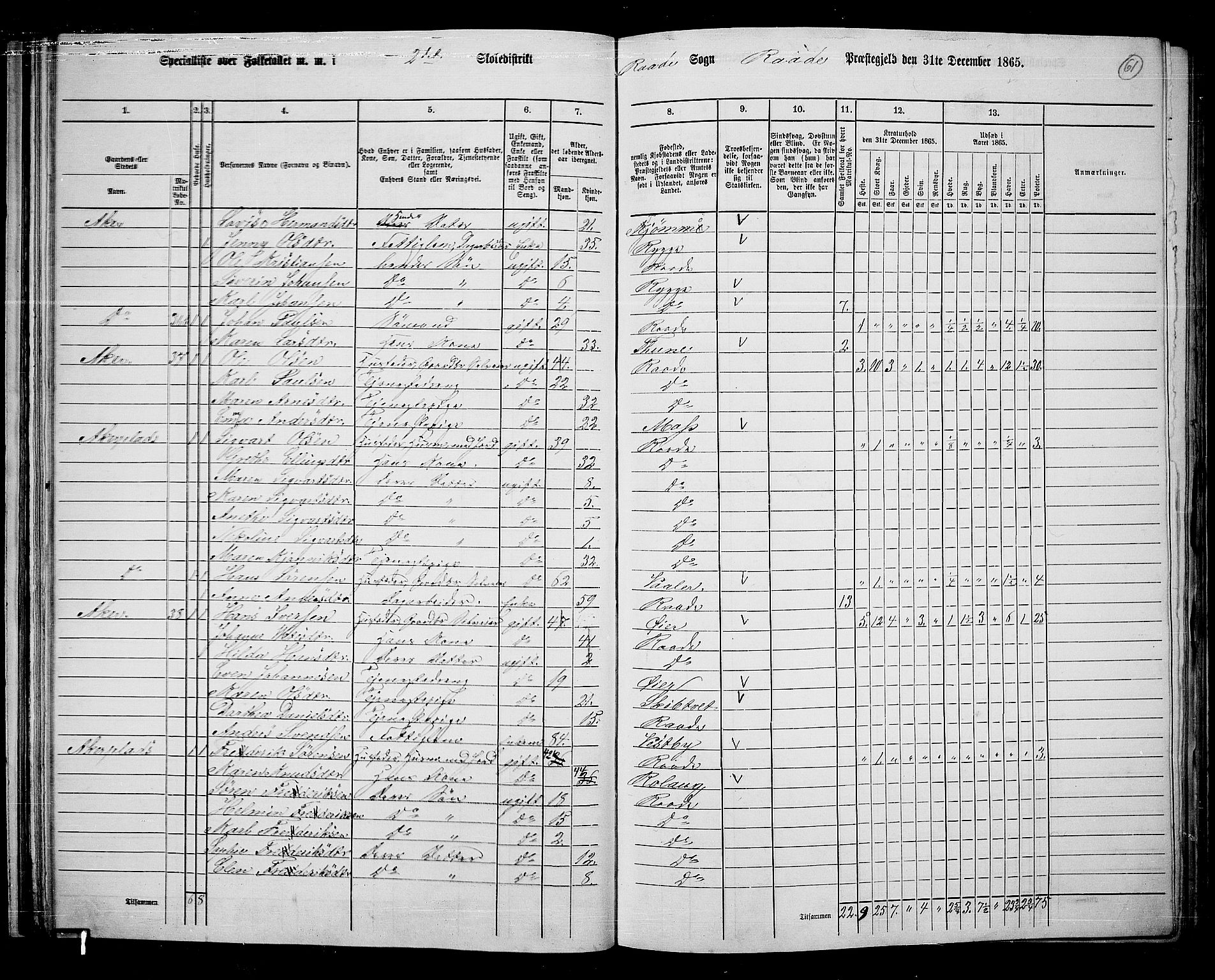 RA, 1865 census for Råde, 1865, p. 55