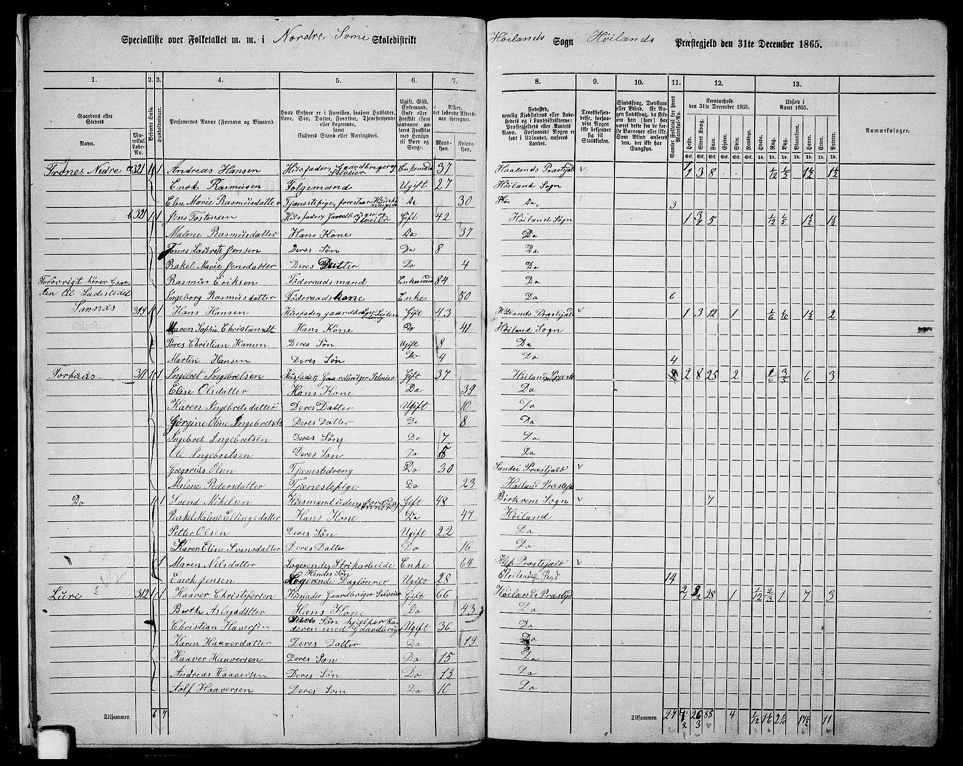 RA, 1865 census for Høyland, 1865, p. 13