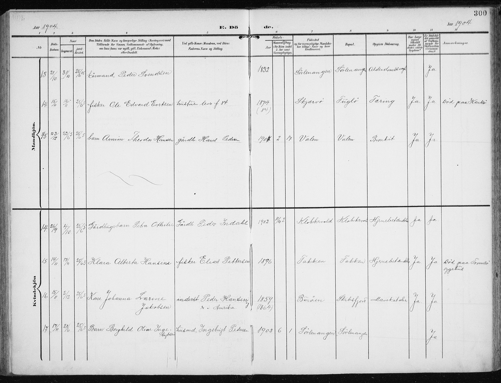 Karlsøy sokneprestembete, AV/SATØ-S-1299/H/Ha/Haa/L0014kirke: Parish register (official) no. 14, 1903-1917, p. 300