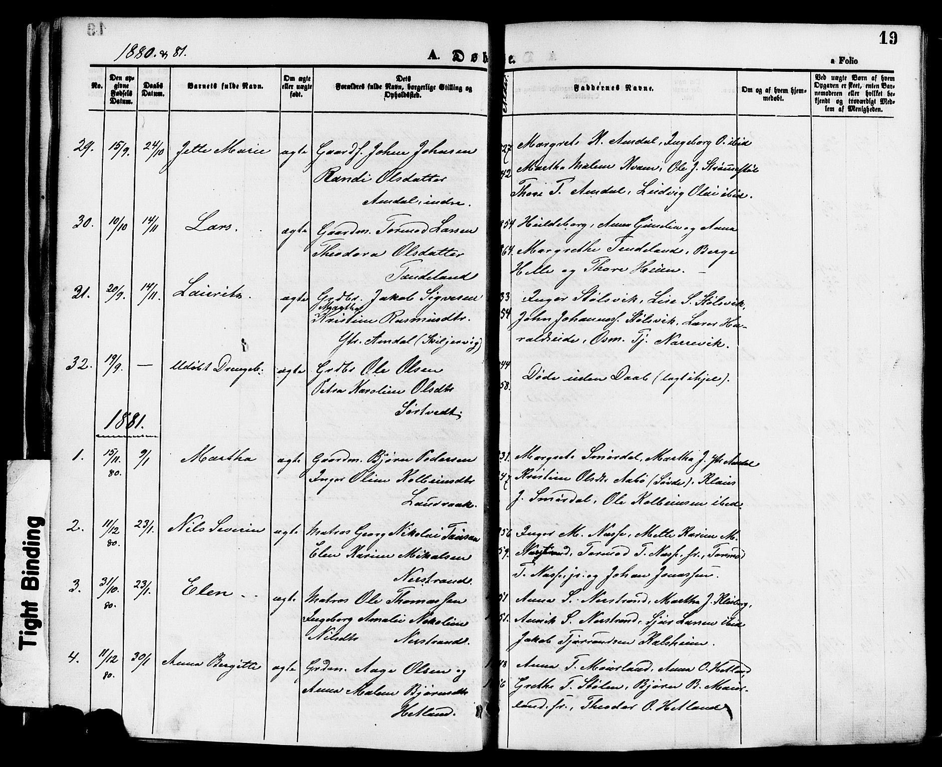 Nedstrand sokneprestkontor, SAST/A-101841/01/IV: Parish register (official) no. A 11, 1877-1887, p. 19