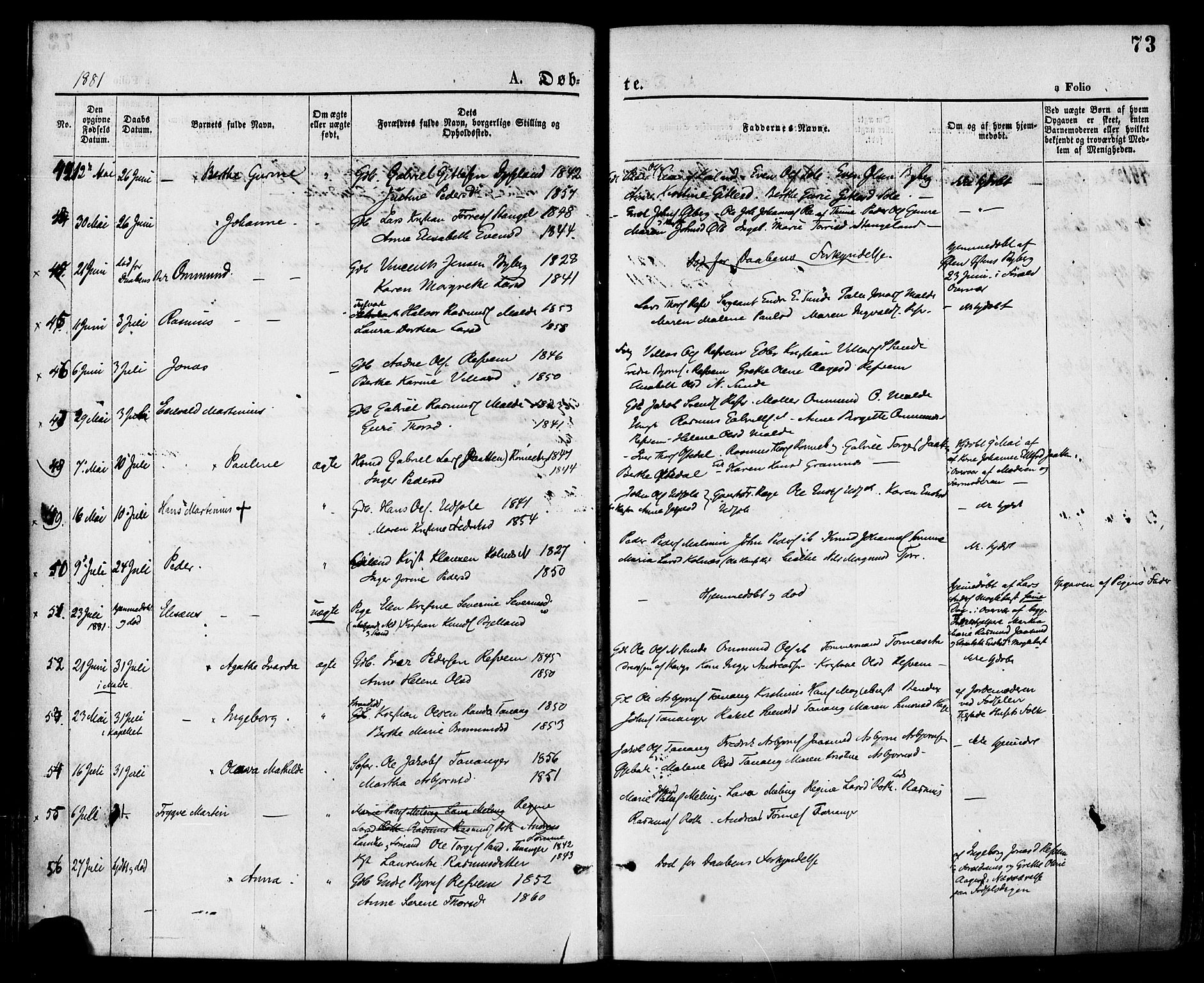 Håland sokneprestkontor, AV/SAST-A-101802/001/30BA/L0009: Parish register (official) no. A 8, 1871-1882, p. 73