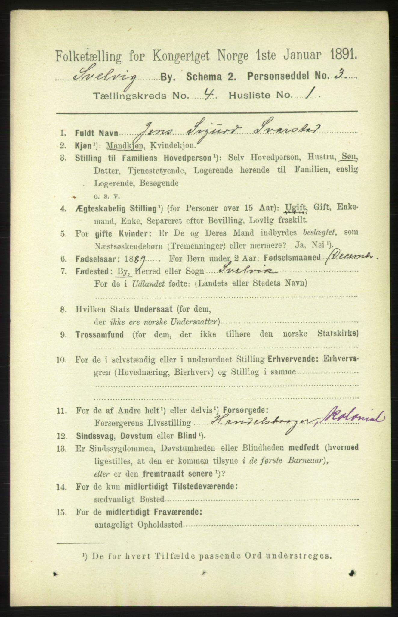 RA, 1891 census for 0701 Svelvik, 1891, p. 1604