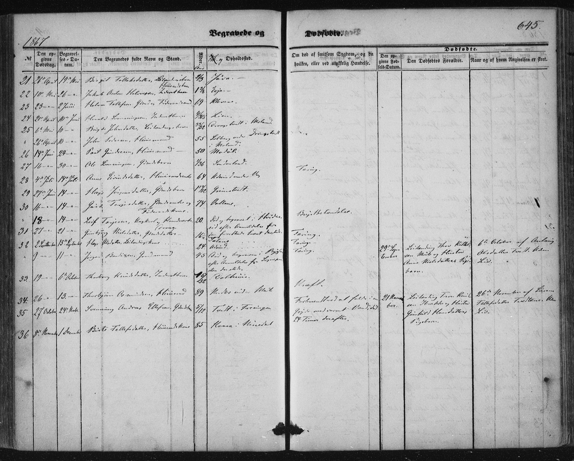 Nissedal kirkebøker, AV/SAKO-A-288/F/Fa/L0003: Parish register (official) no. I 3, 1846-1870, p. 644-645