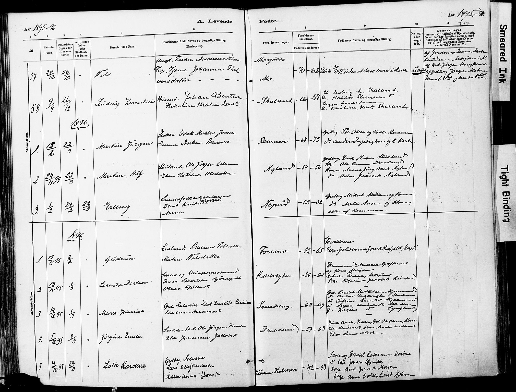 Ministerialprotokoller, klokkerbøker og fødselsregistre - Nordland, SAT/A-1459/820/L0295: Parish register (official) no. 820A16, 1880-1896, p. 147