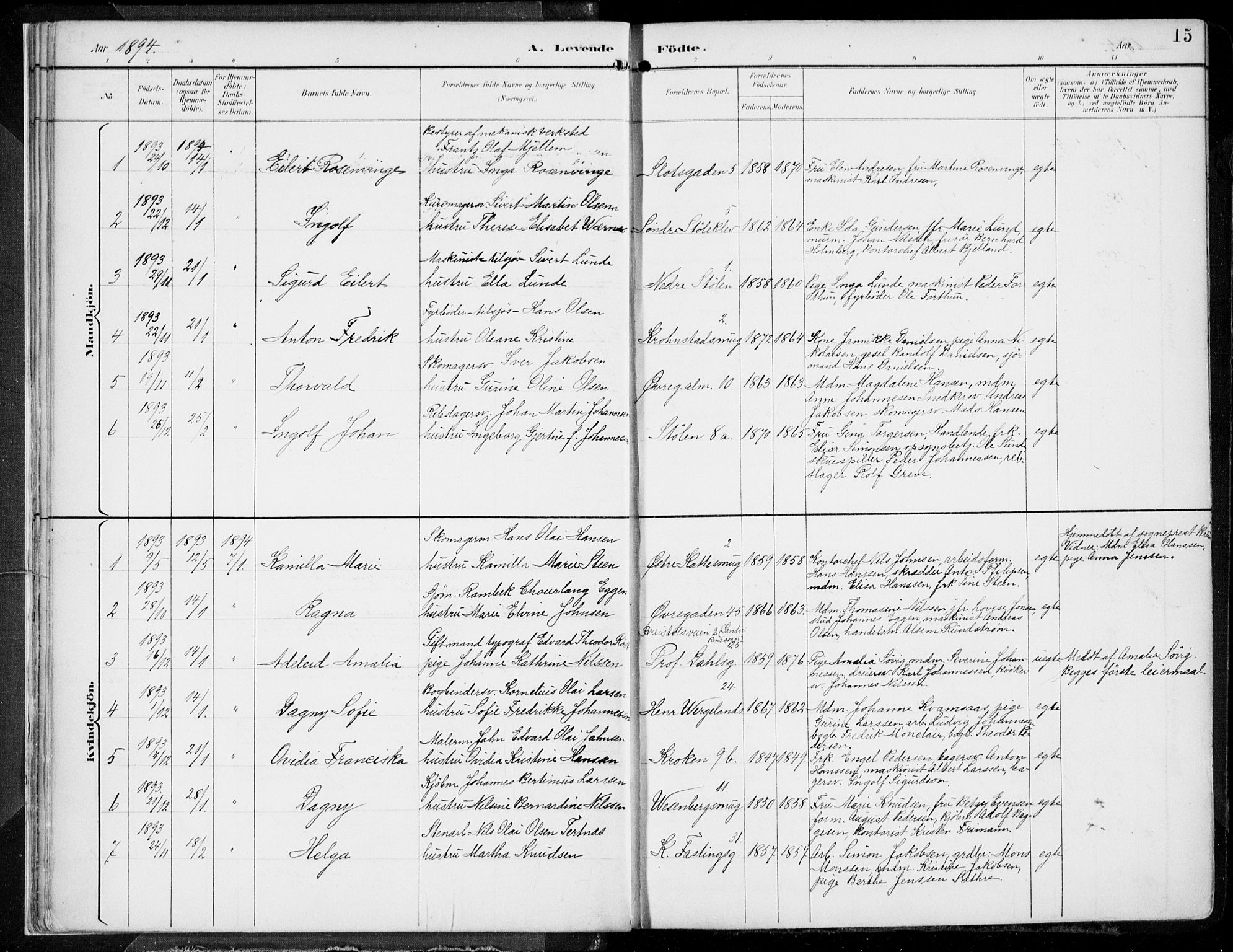 Mariakirken Sokneprestembete, AV/SAB-A-76901/H/Hab/L0005: Parish register (copy) no. A 5, 1893-1913, p. 15