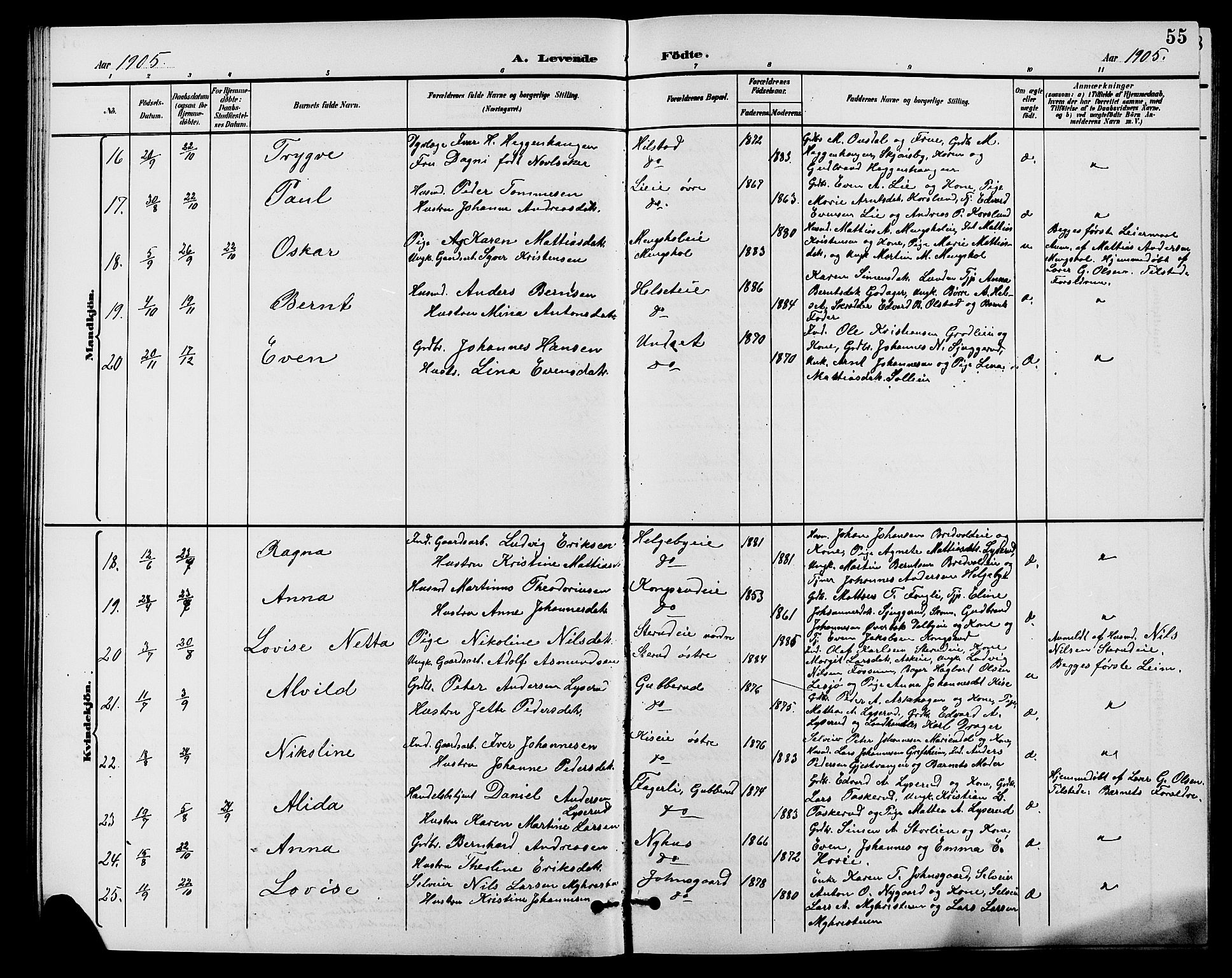 Nes prestekontor, Hedmark, AV/SAH-PREST-020/L/La/L0007: Parish register (copy) no. 7, 1892-1912, p. 55