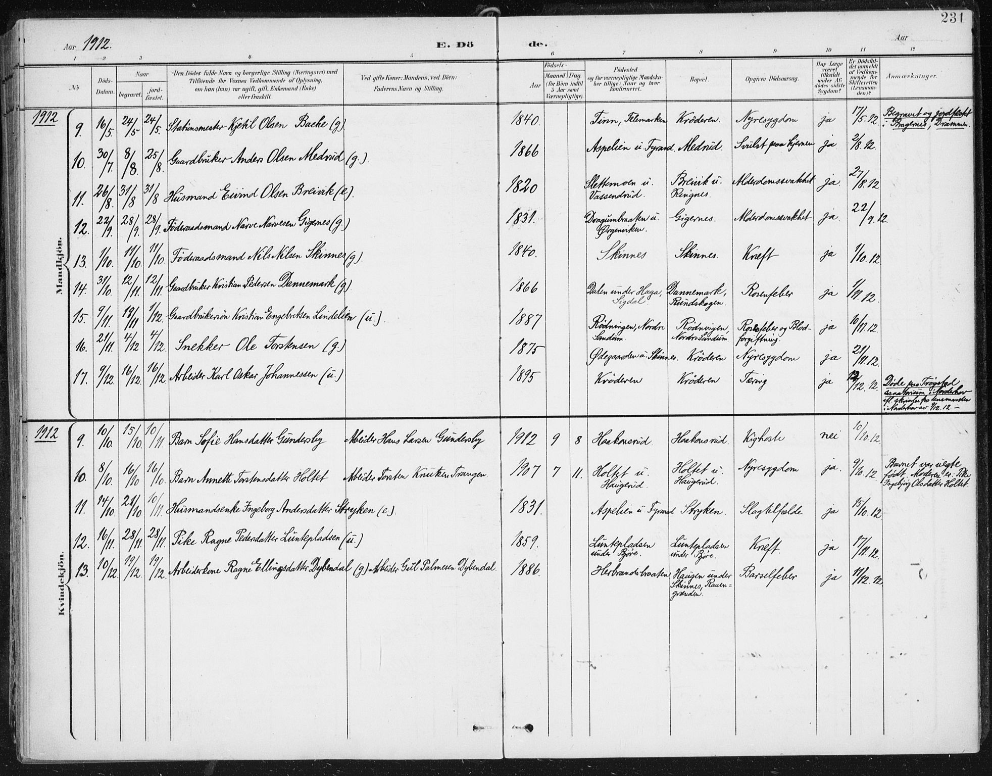 Krødsherad kirkebøker, AV/SAKO-A-19/F/Fa/L0007: Parish register (official) no. 7, 1900-1915, p. 231