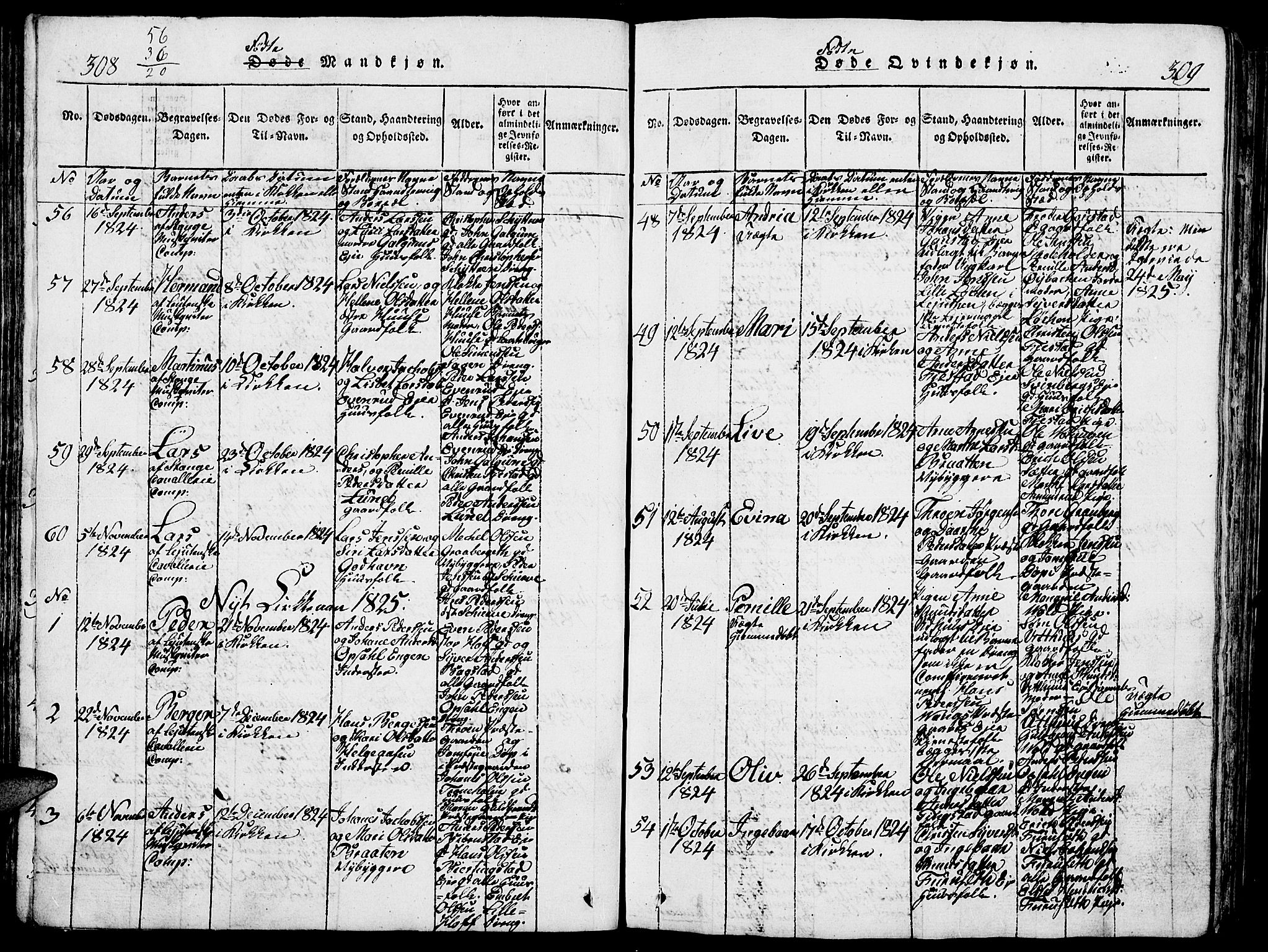 Romedal prestekontor, SAH/PREST-004/L/L0005: Parish register (copy) no. 5, 1814-1829, p. 308-309