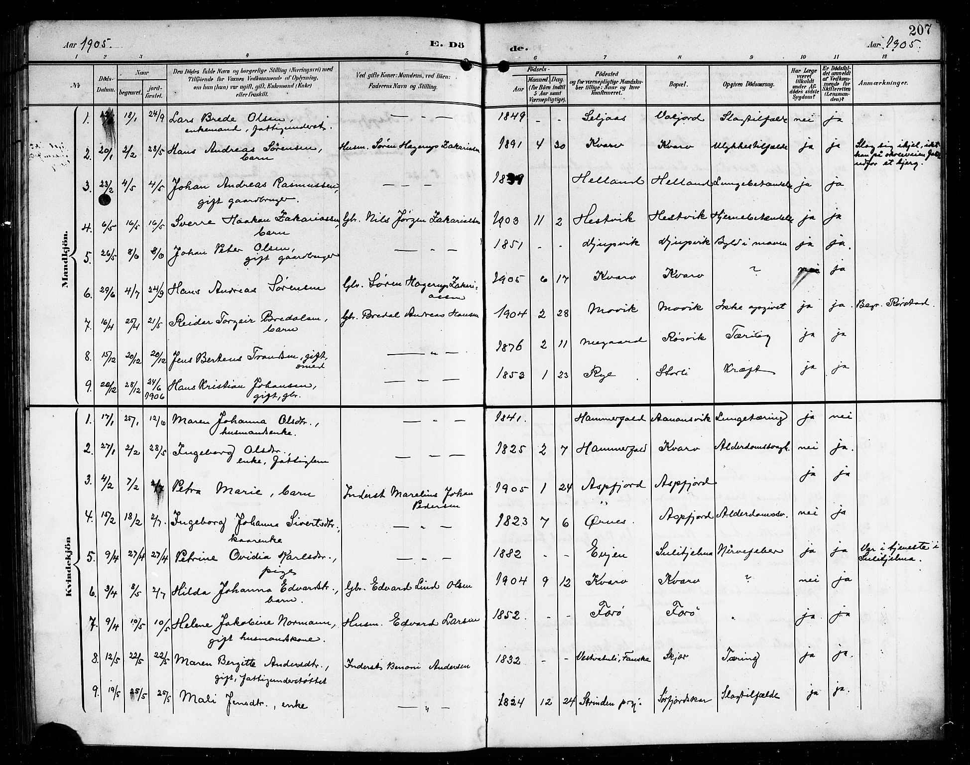 Ministerialprotokoller, klokkerbøker og fødselsregistre - Nordland, SAT/A-1459/854/L0786: Parish register (copy) no. 854C02, 1901-1912, p. 207