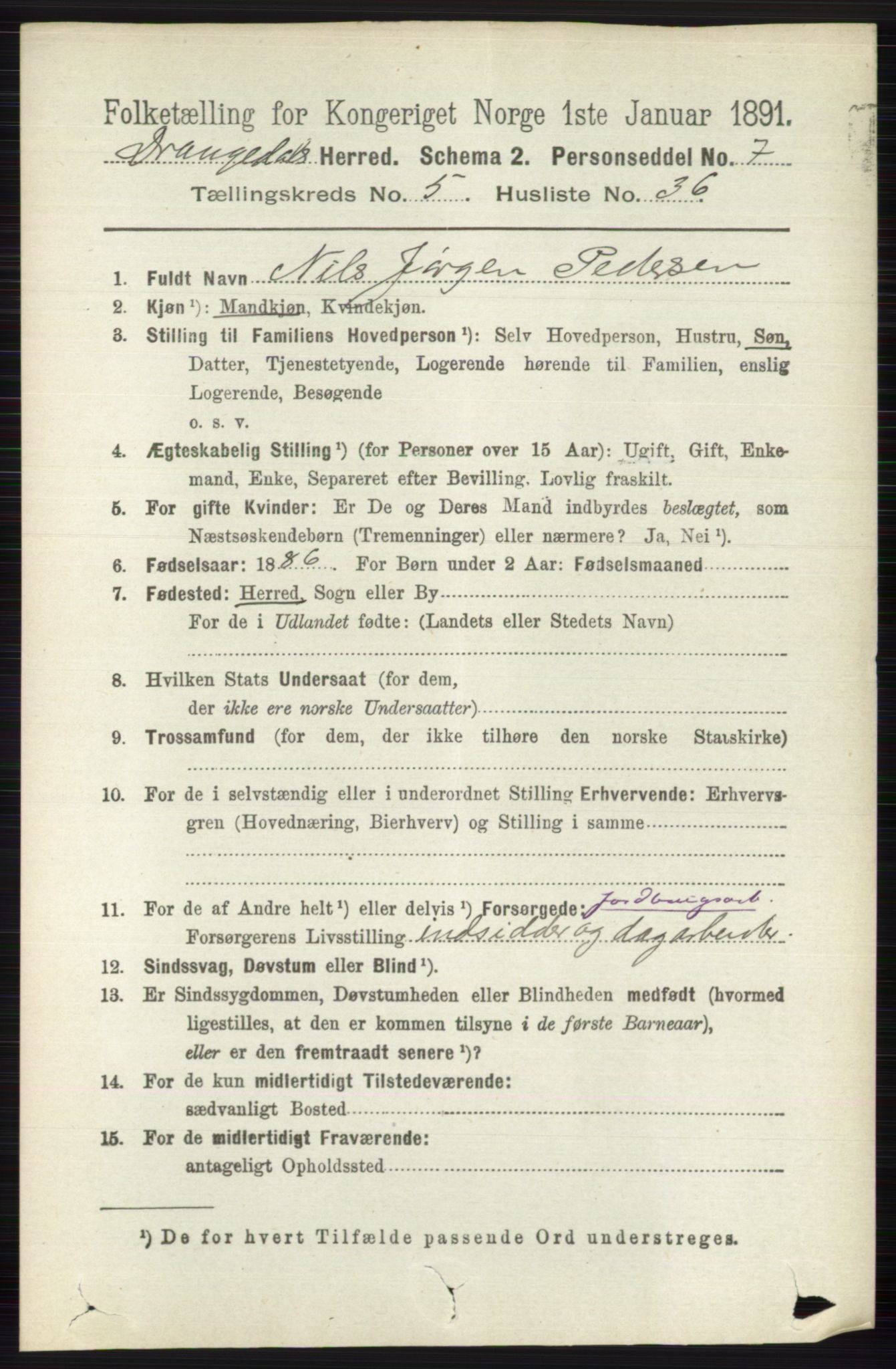 RA, 1891 census for 0817 Drangedal, 1891, p. 1917