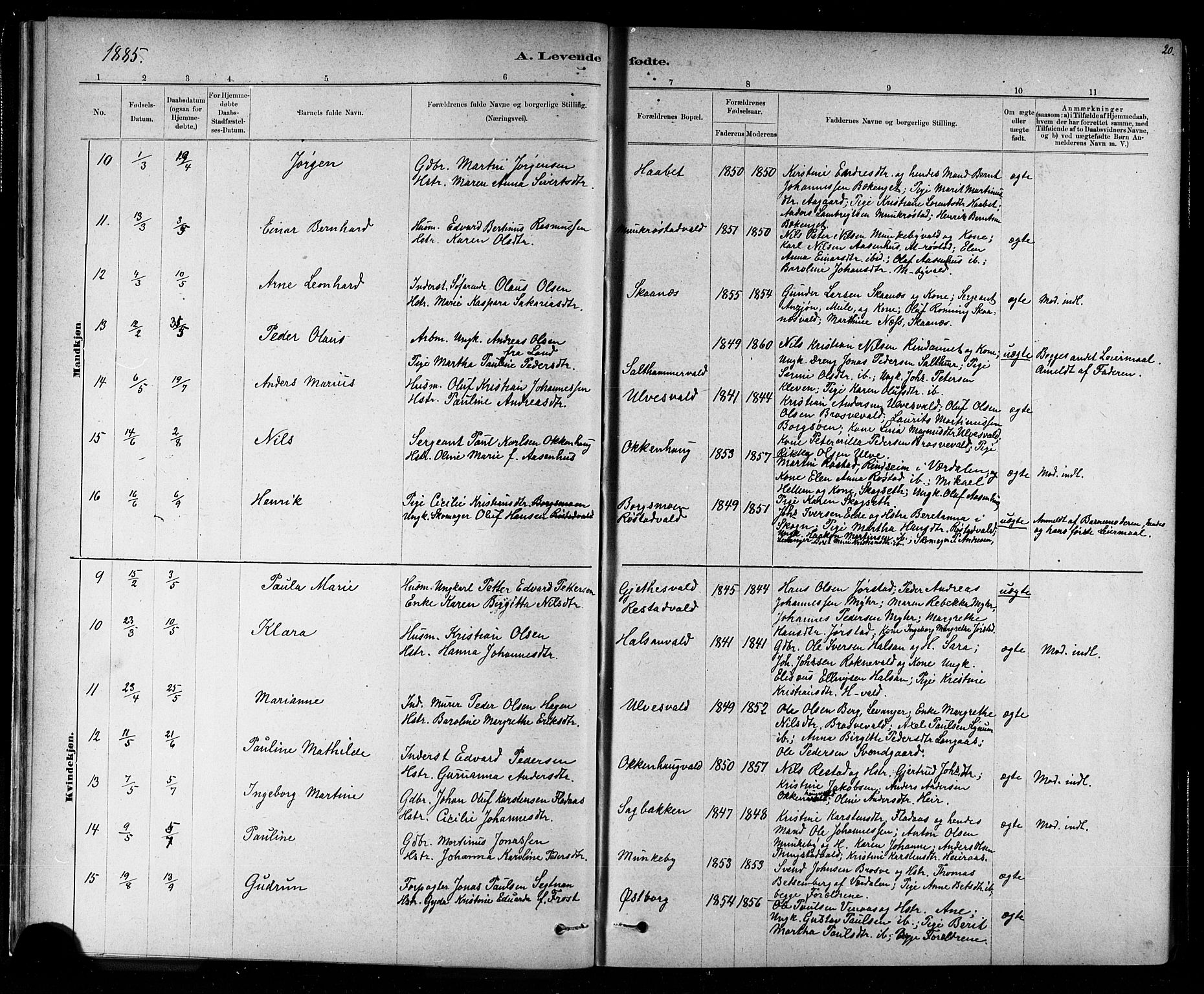 Ministerialprotokoller, klokkerbøker og fødselsregistre - Nord-Trøndelag, AV/SAT-A-1458/721/L0208: Parish register (copy) no. 721C01, 1880-1917, p. 20