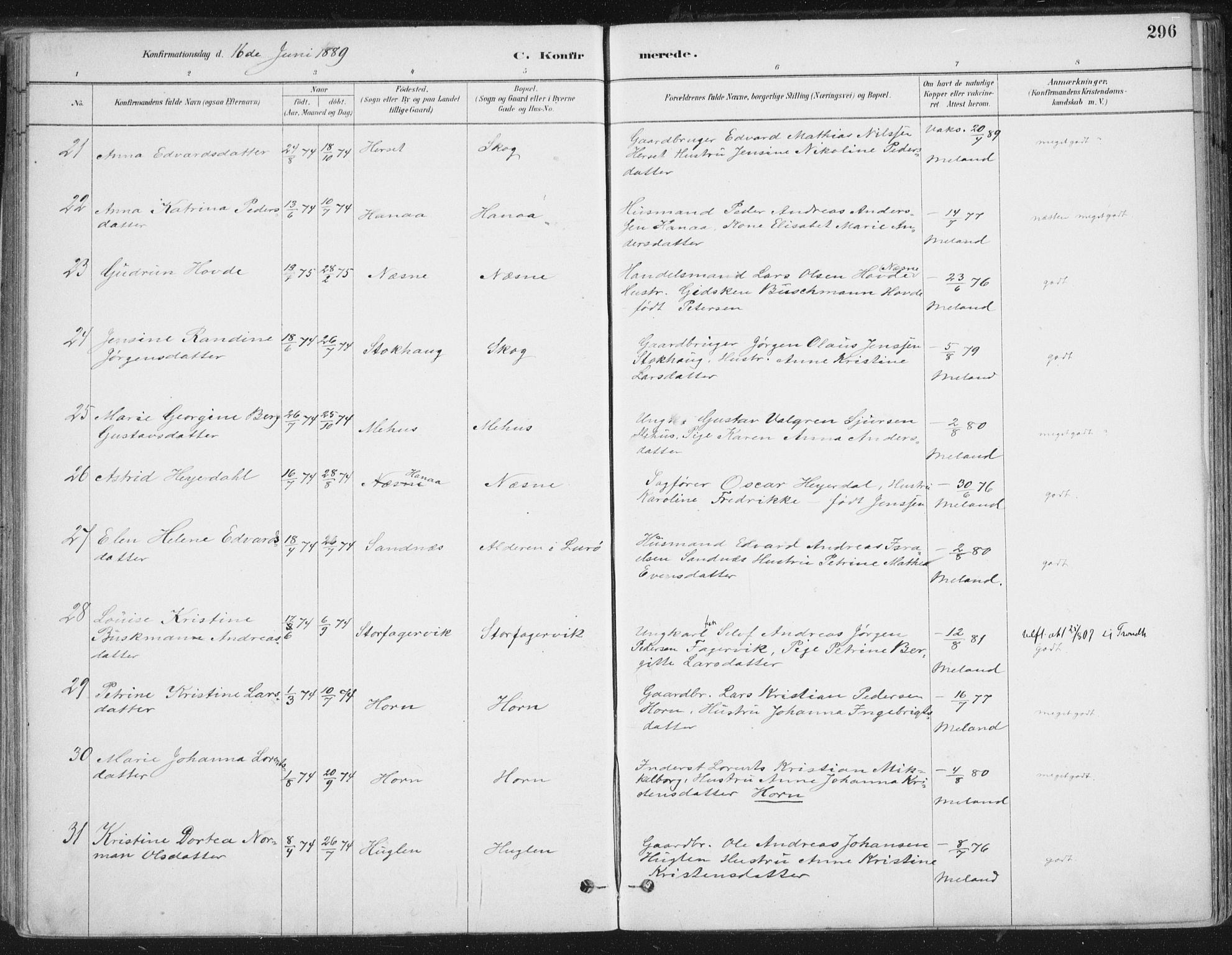 Ministerialprotokoller, klokkerbøker og fødselsregistre - Nordland, AV/SAT-A-1459/838/L0552: Parish register (official) no. 838A10, 1880-1910, p. 296