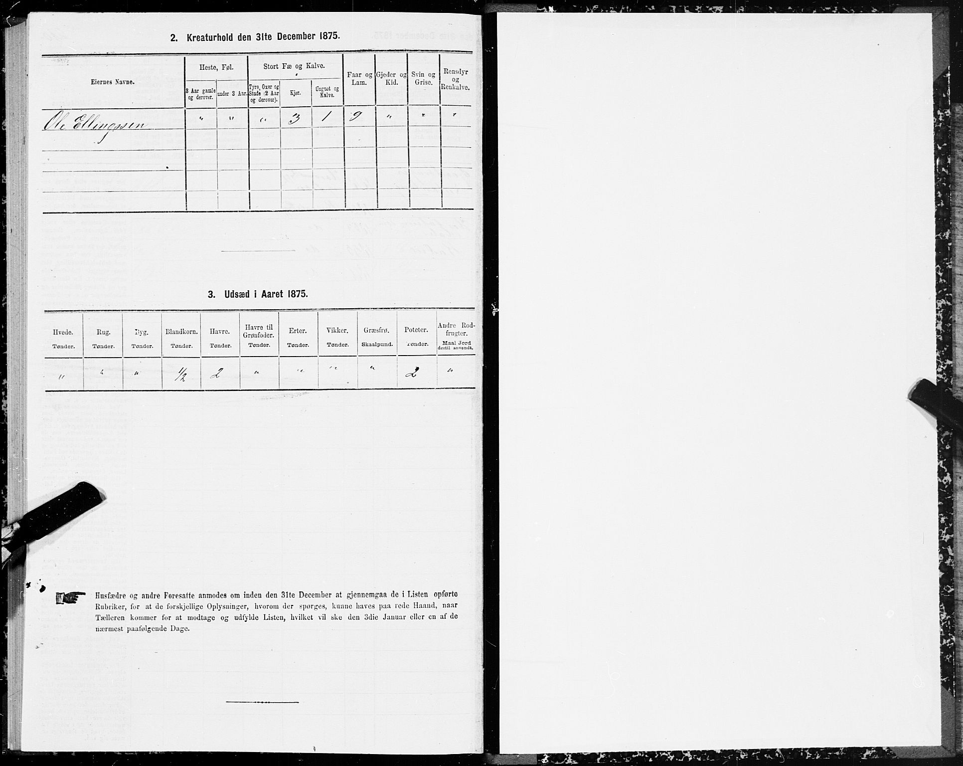 SAT, 1875 census for 1531P Borgund, 1875