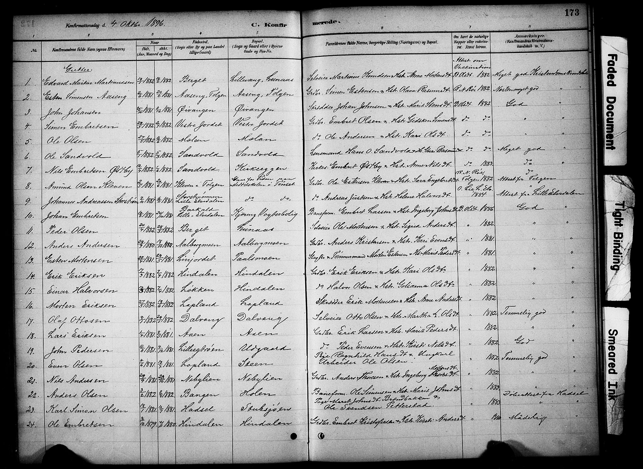 Tynset prestekontor, SAH/PREST-058/H/Ha/Hab/L0006: Parish register (copy) no. 6, 1880-1899, p. 173