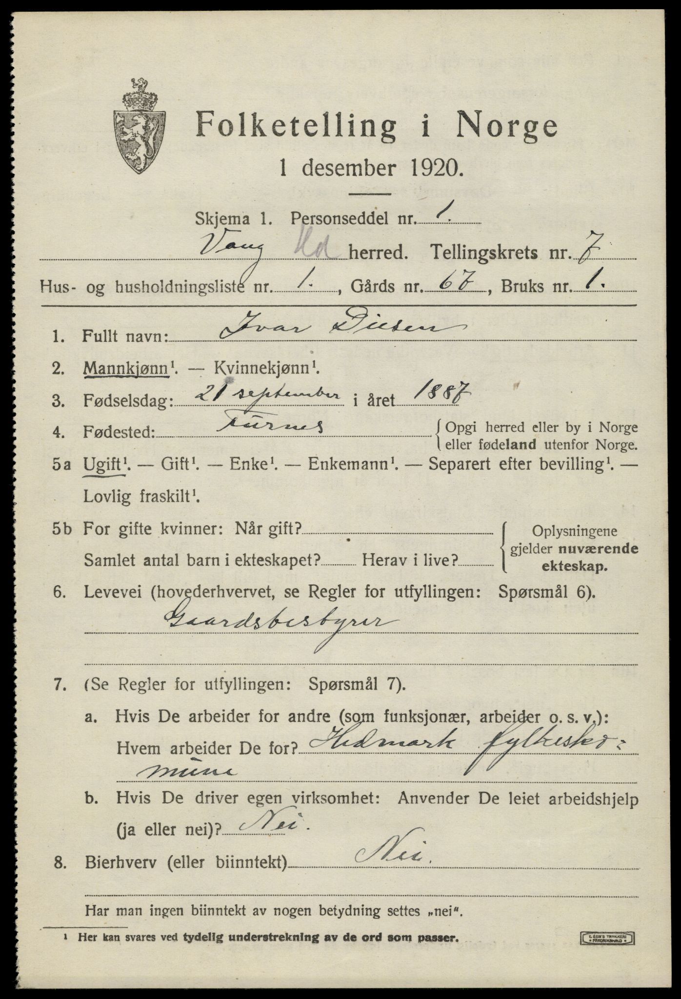 SAH, 1920 census for Vang (Hedmark), 1920, p. 16029