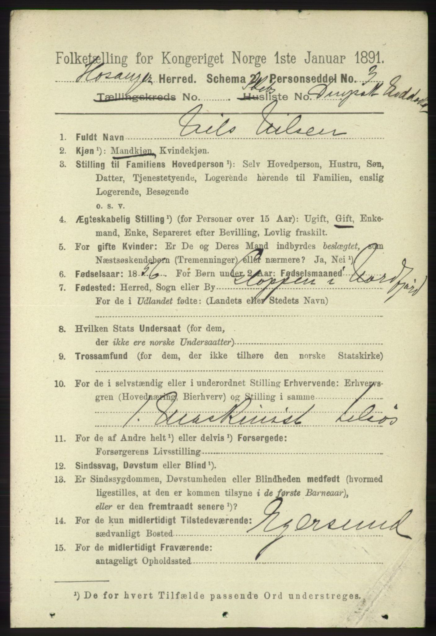 RA, 1891 census for 1253 Hosanger, 1891, p. 4277