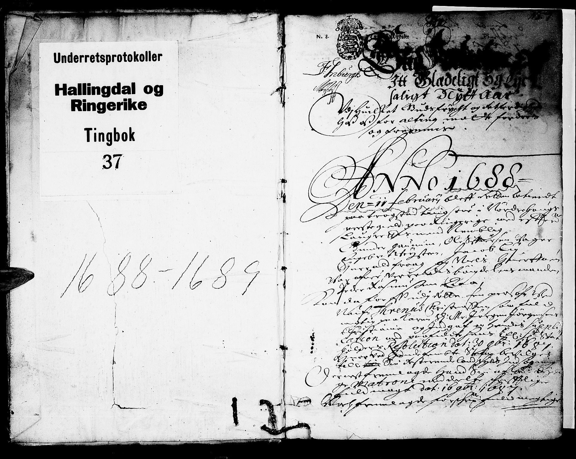 Ringerike og Hallingdal sorenskriveri, SAKO/A-81/F/Fa/Faa/L0020: Tingbok, 1688-1689, p. 1