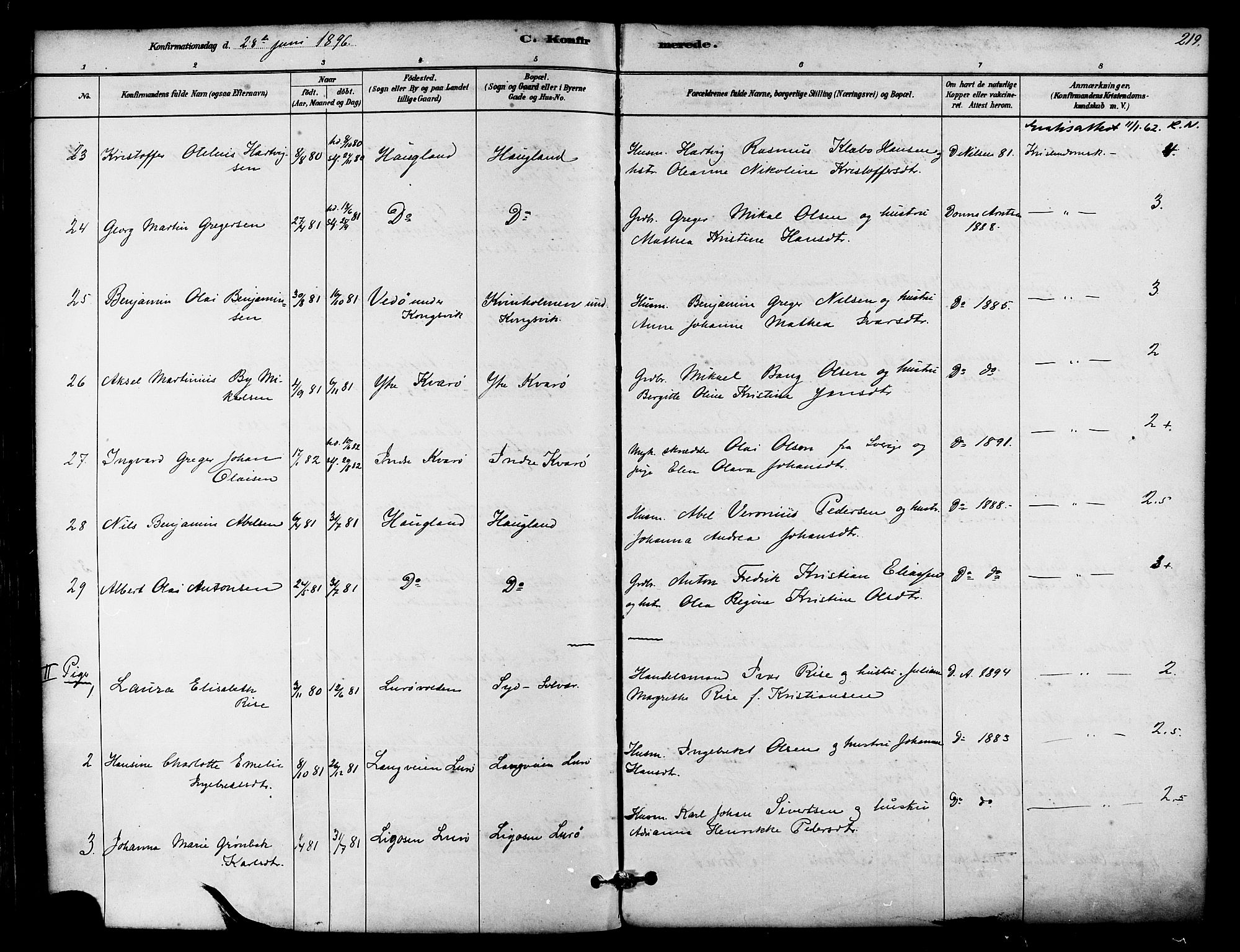 Ministerialprotokoller, klokkerbøker og fødselsregistre - Nordland, AV/SAT-A-1459/839/L0568: Parish register (official) no. 839A05, 1880-1902, p. 219