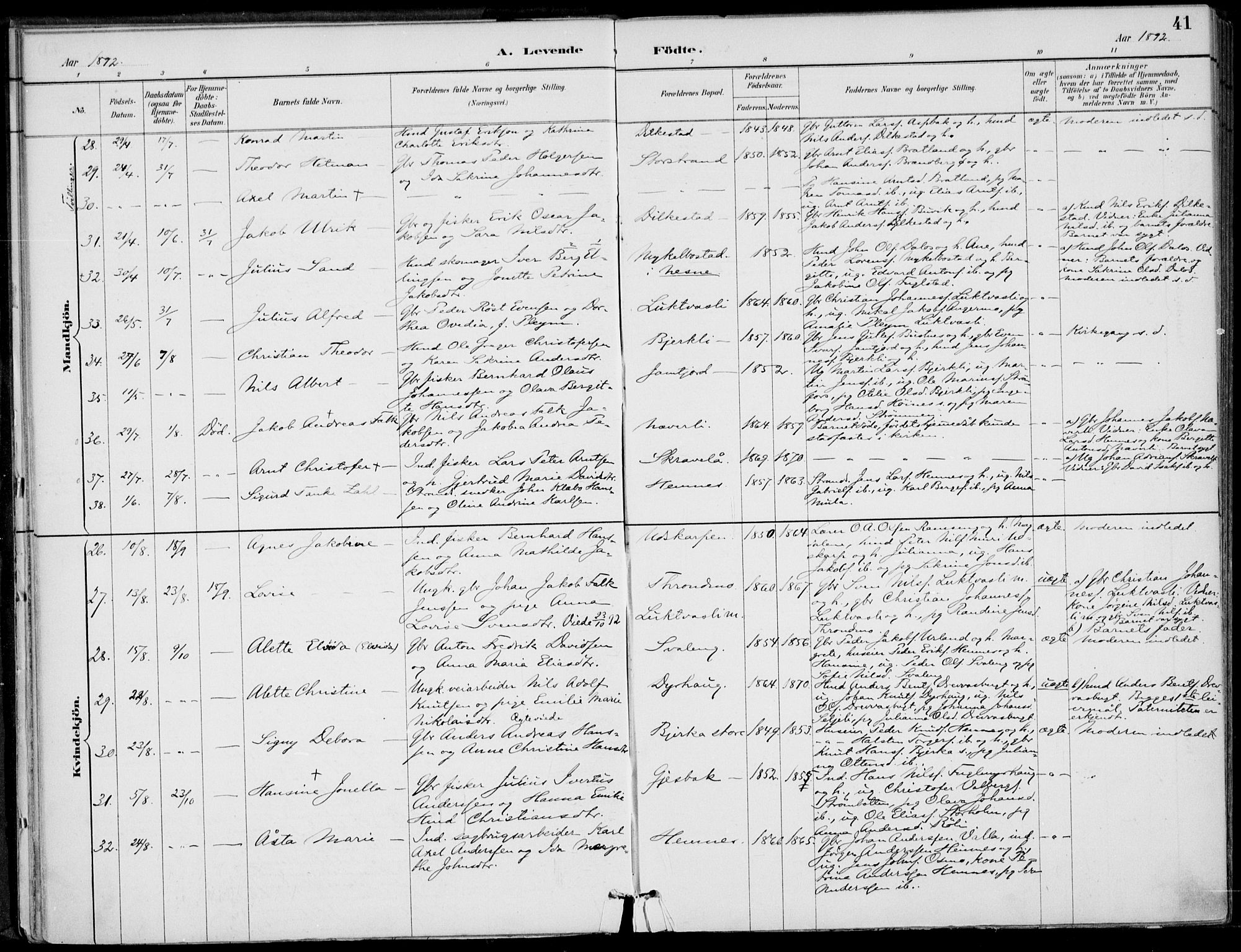 Ministerialprotokoller, klokkerbøker og fødselsregistre - Nordland, AV/SAT-A-1459/825/L0362: Parish register (official) no. 825A16, 1886-1908, p. 41