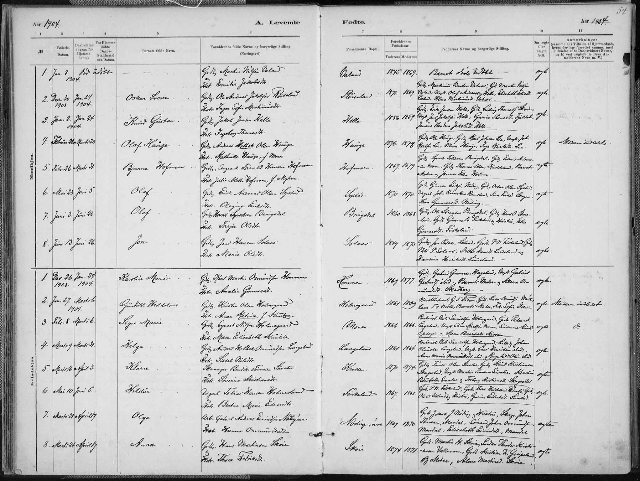Holum sokneprestkontor, SAK/1111-0022/F/Fa/Faa/L0007: Parish register (official) no. A 7, 1884-1907, p. 54